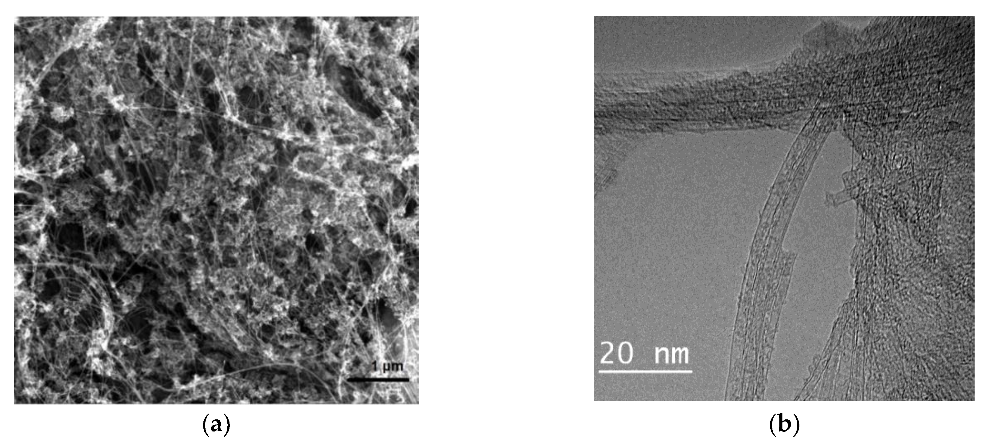 Nanomaterials 11 01213 g002 550