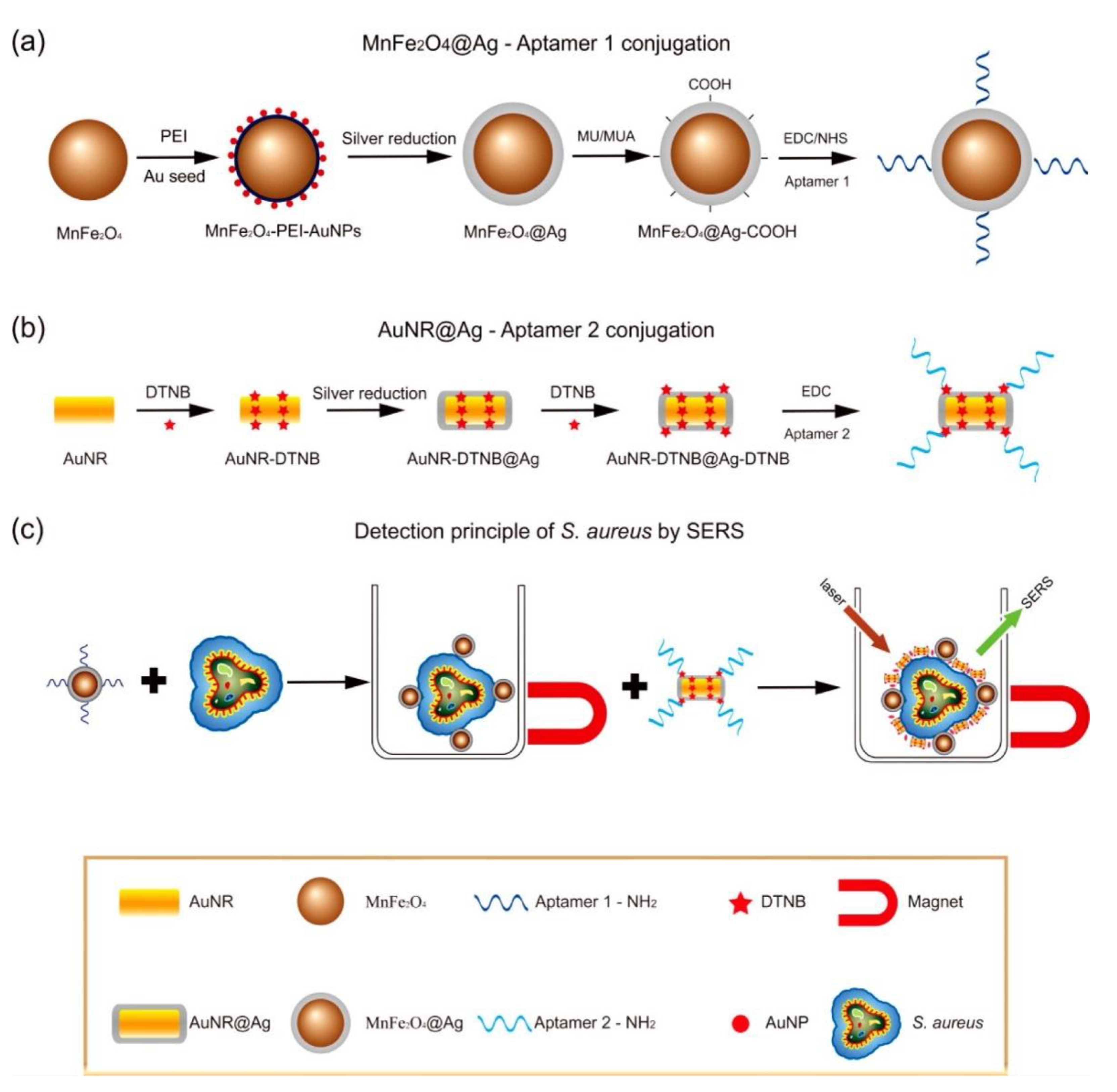 Nanomaterials 11 01215 g003