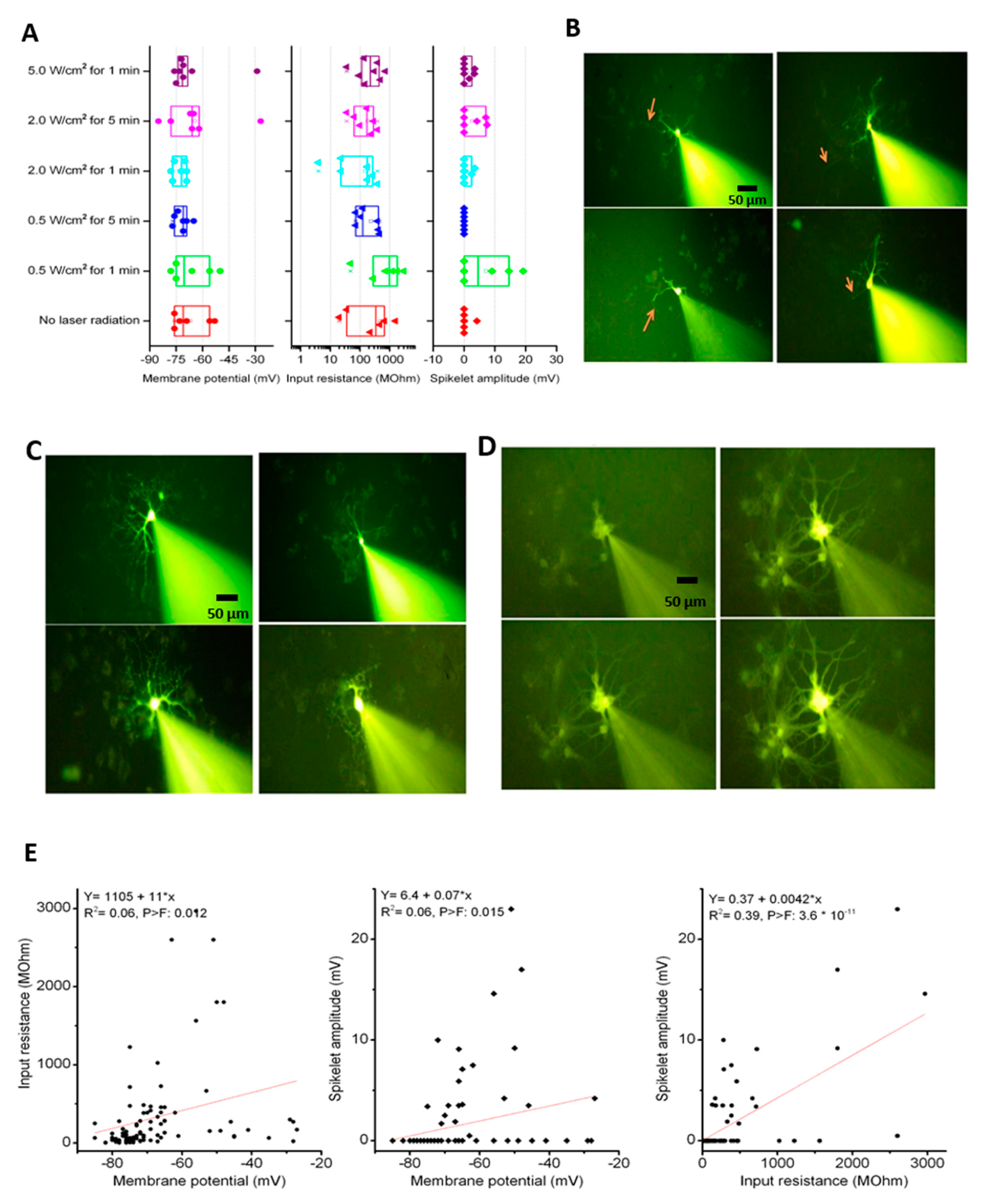 Nanomaterials 11 01216 g005a