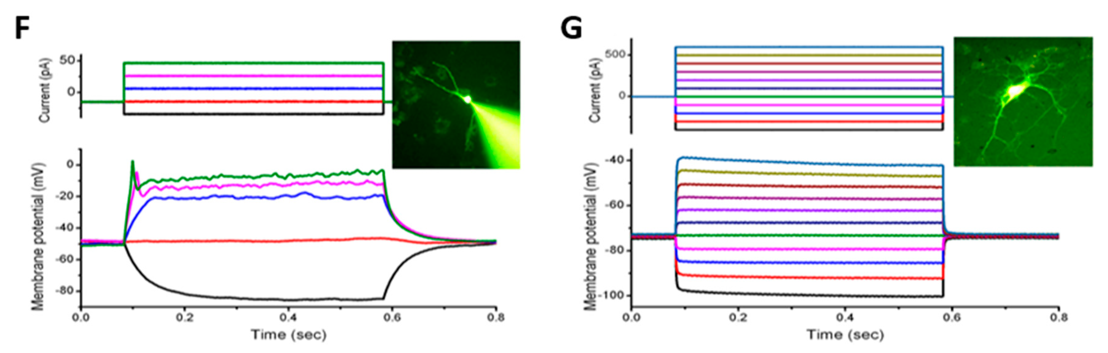 Nanomaterials 11 01216 g005b