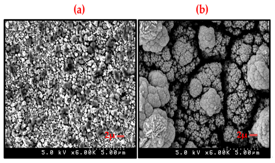 Nanomaterials 11 01222 g007