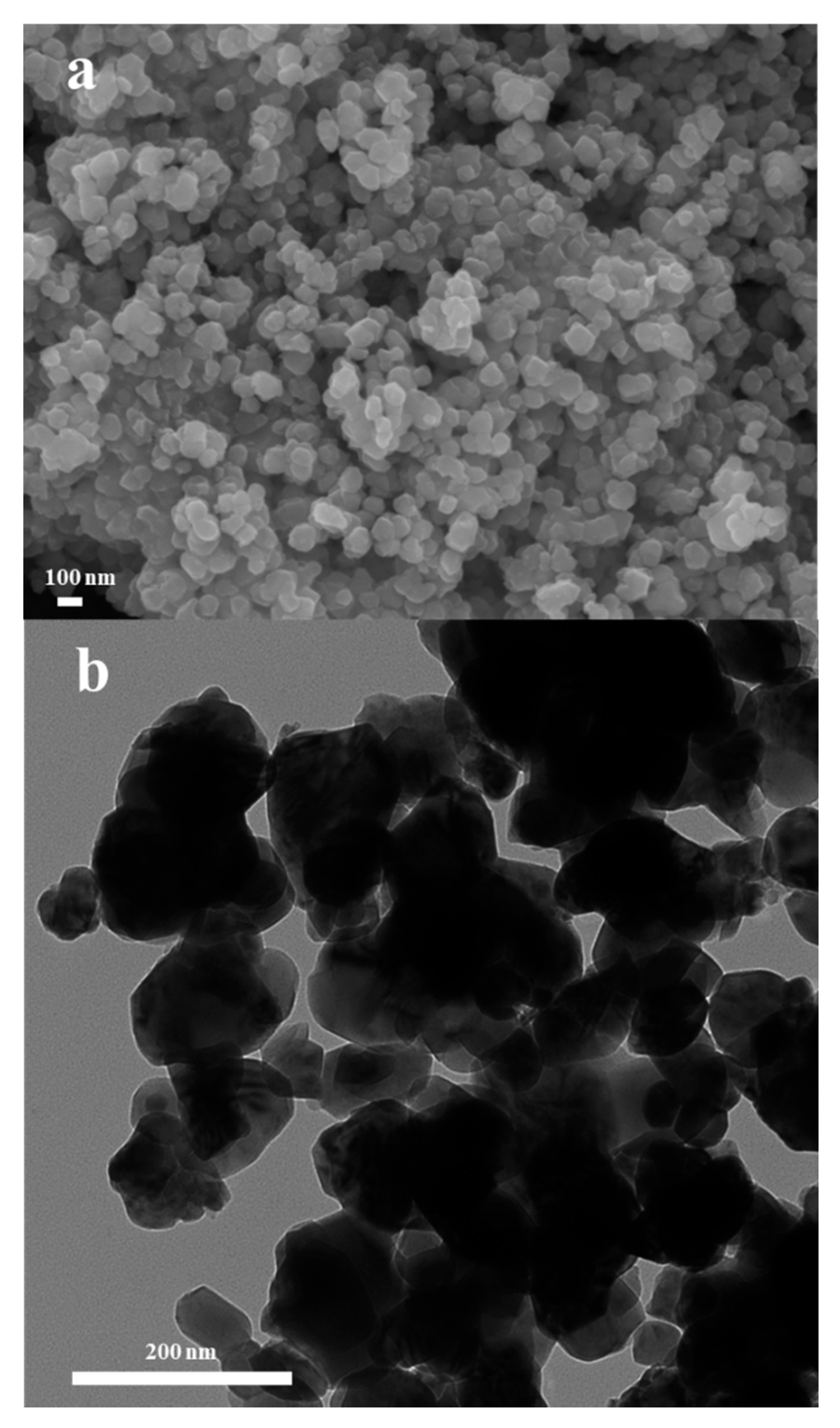 Nanomaterials 11 01224 g001 Nanomaterials 11 01224 g001