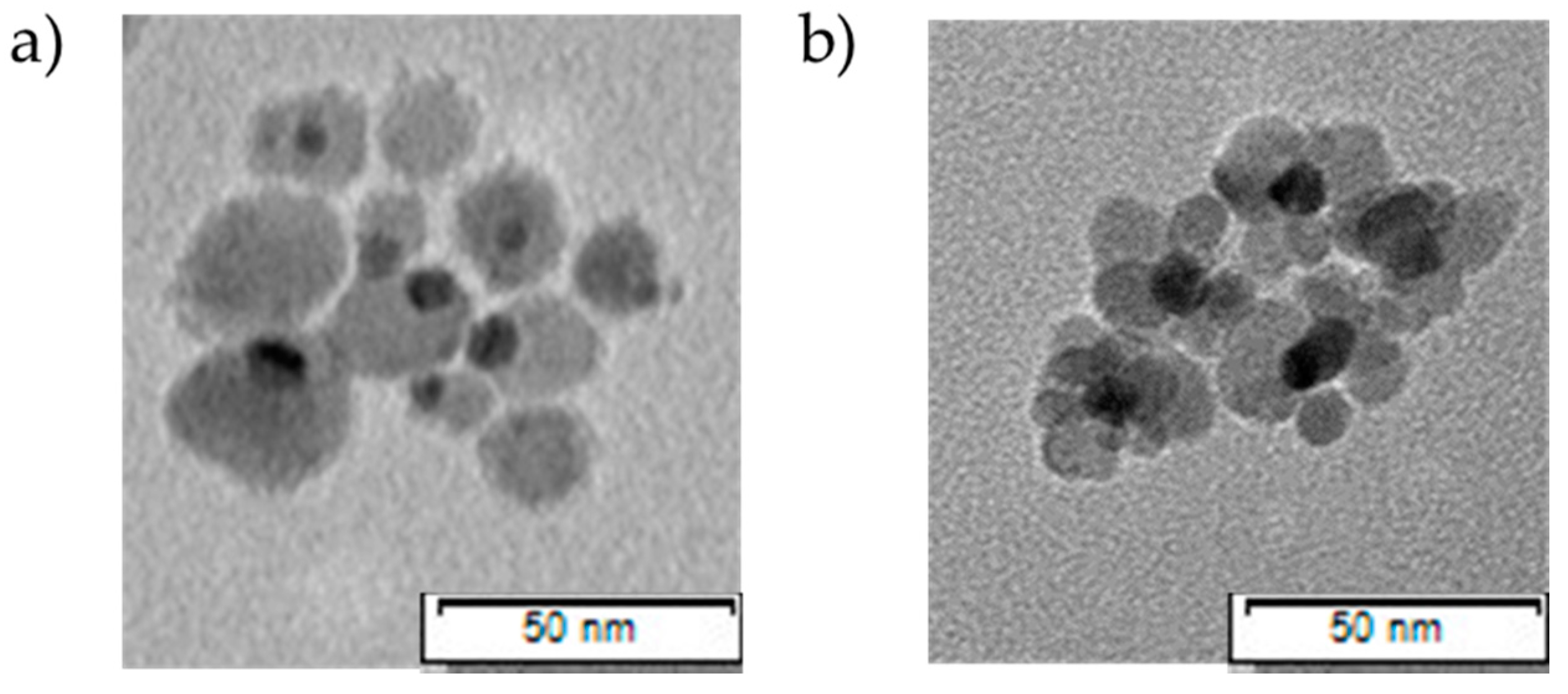 Nanomaterials 11 01227 g003 Nanomaterials 11 01227 g003