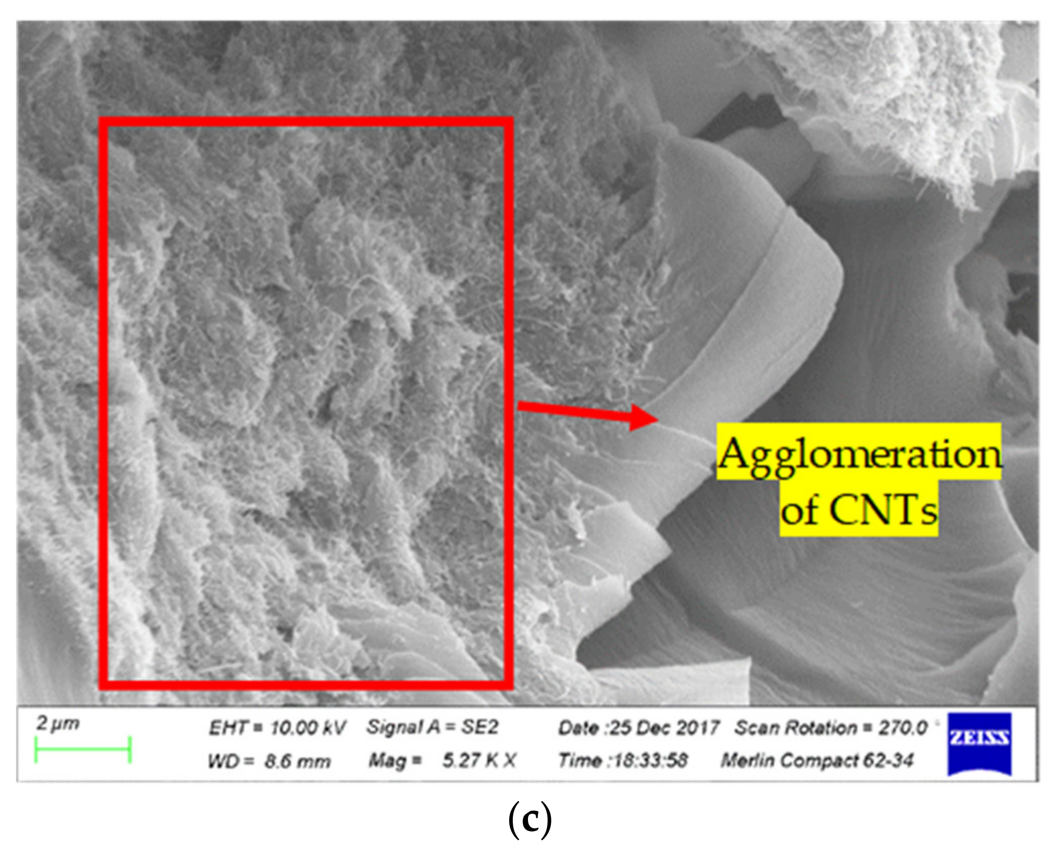 Nanomaterials 11 01234 g010b