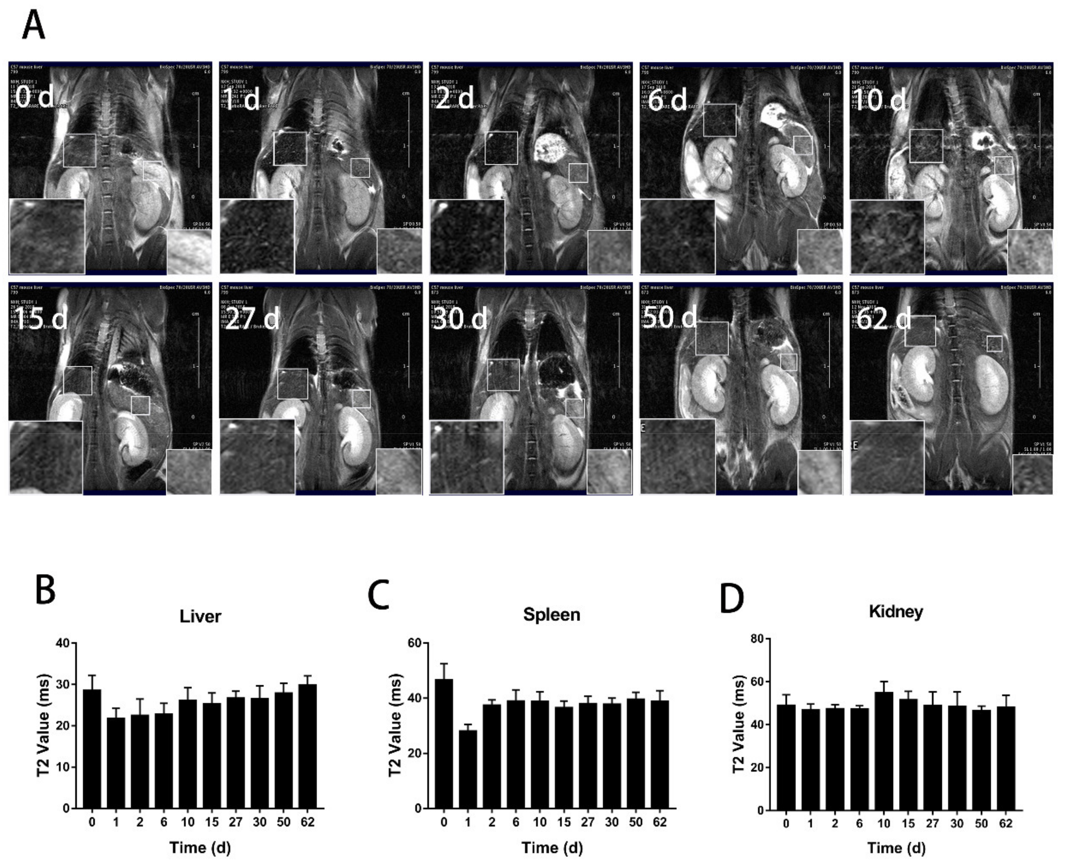 Nanomaterials 11 01235 g003