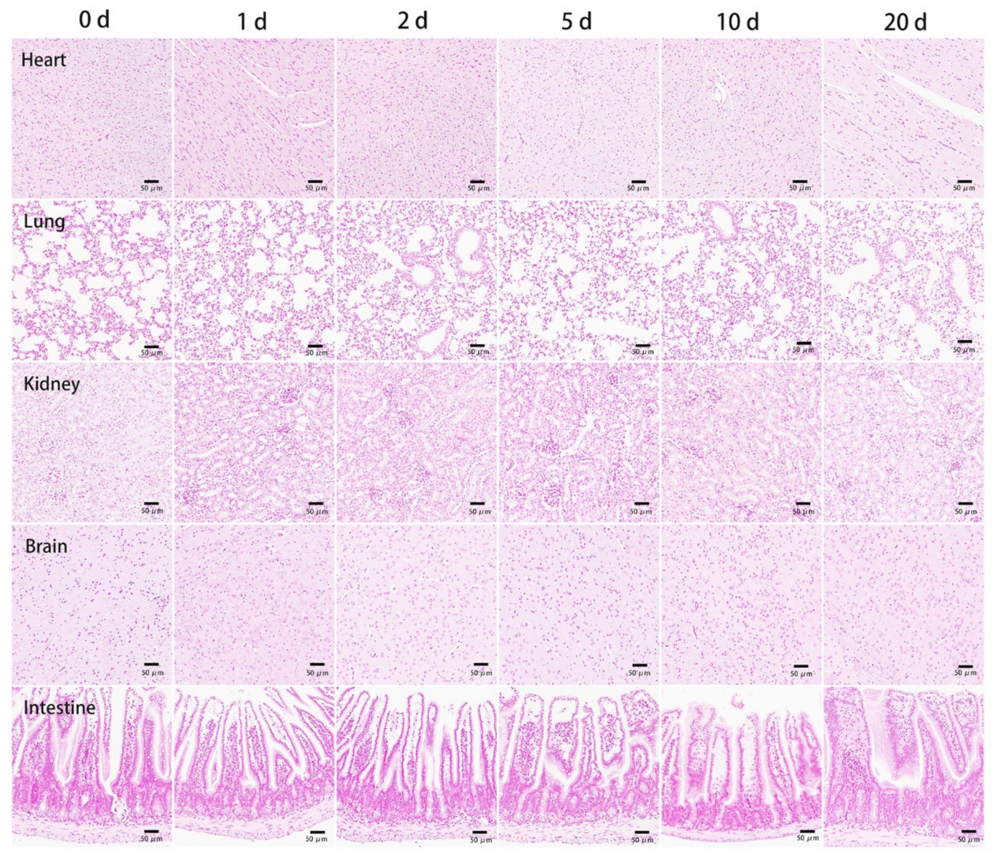 Nanomaterials 11 01235 g005