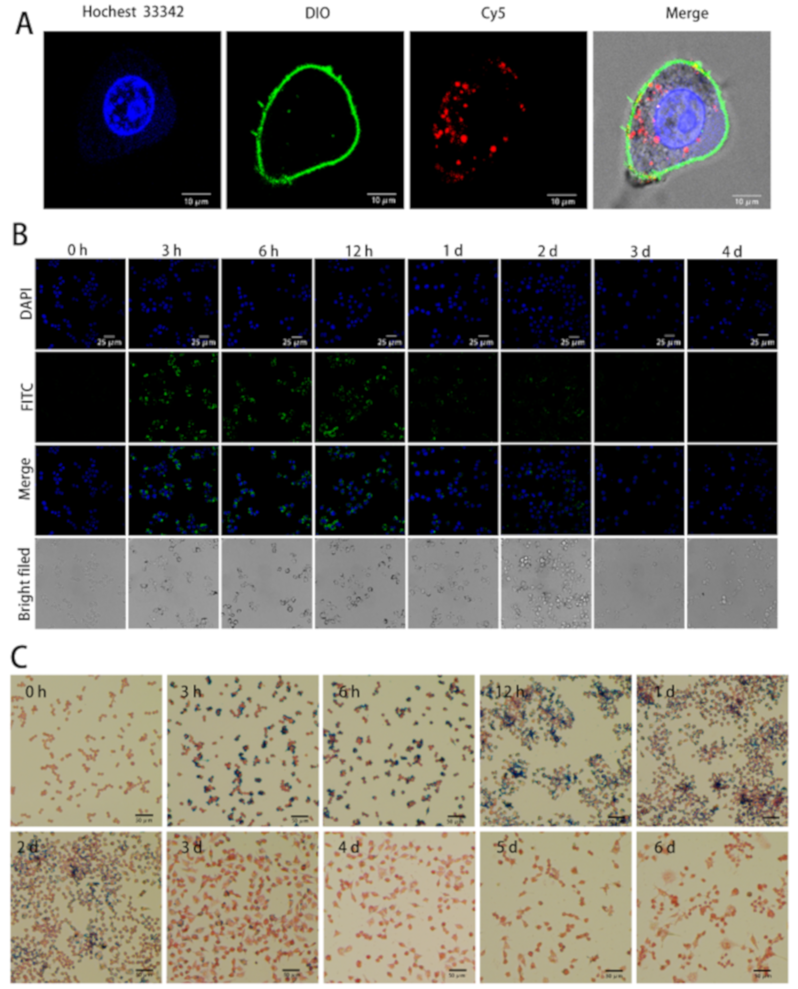Nanomaterials 11 01235 g008