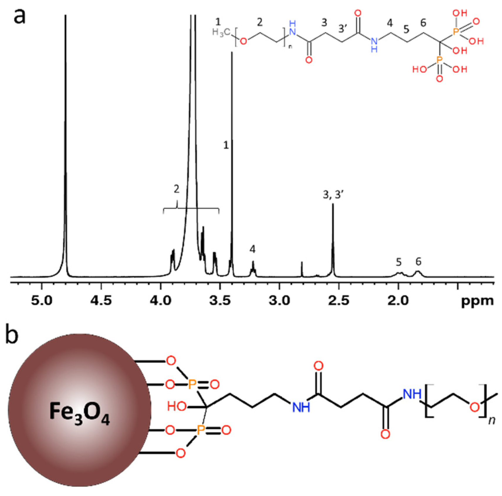Nanomaterials 11 01238 g001 Nanomaterials 11 01238 g001