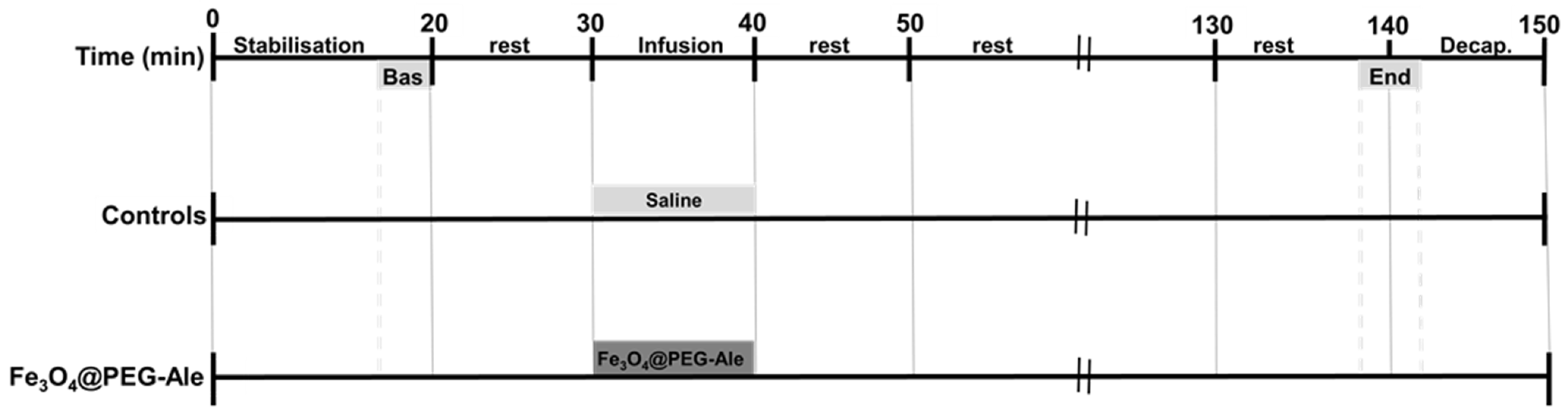 Nanomaterials 11 01238 g002 Nanomaterials 11 01238 g002