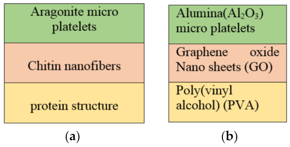 Nanomaterials 11 01239 g003