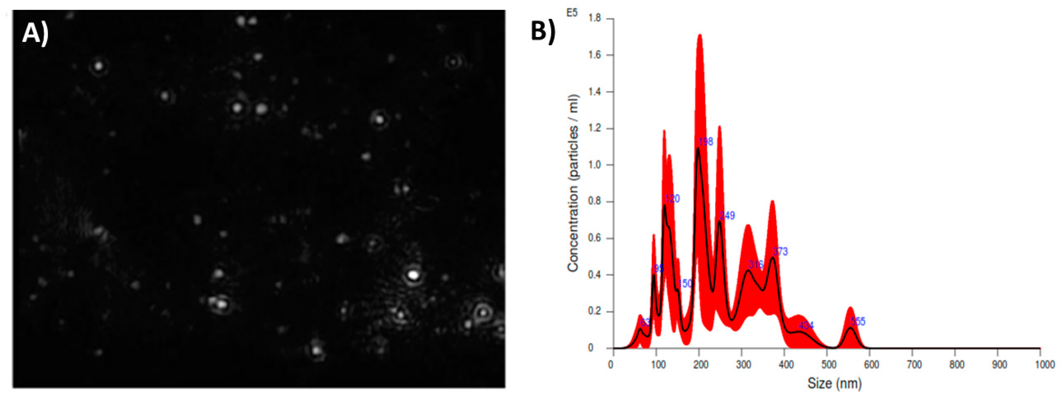 Nanomaterials 11 01244 g001 Nanomaterials 11 01244 g001