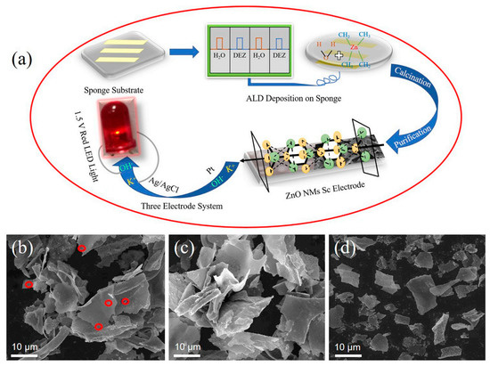 Transition Metal Oxide Electrode Materials for