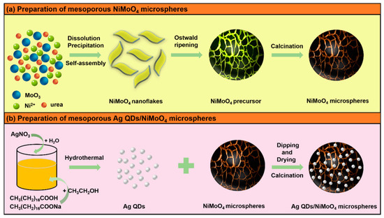 Transition Metal Oxide Electrode Materials for