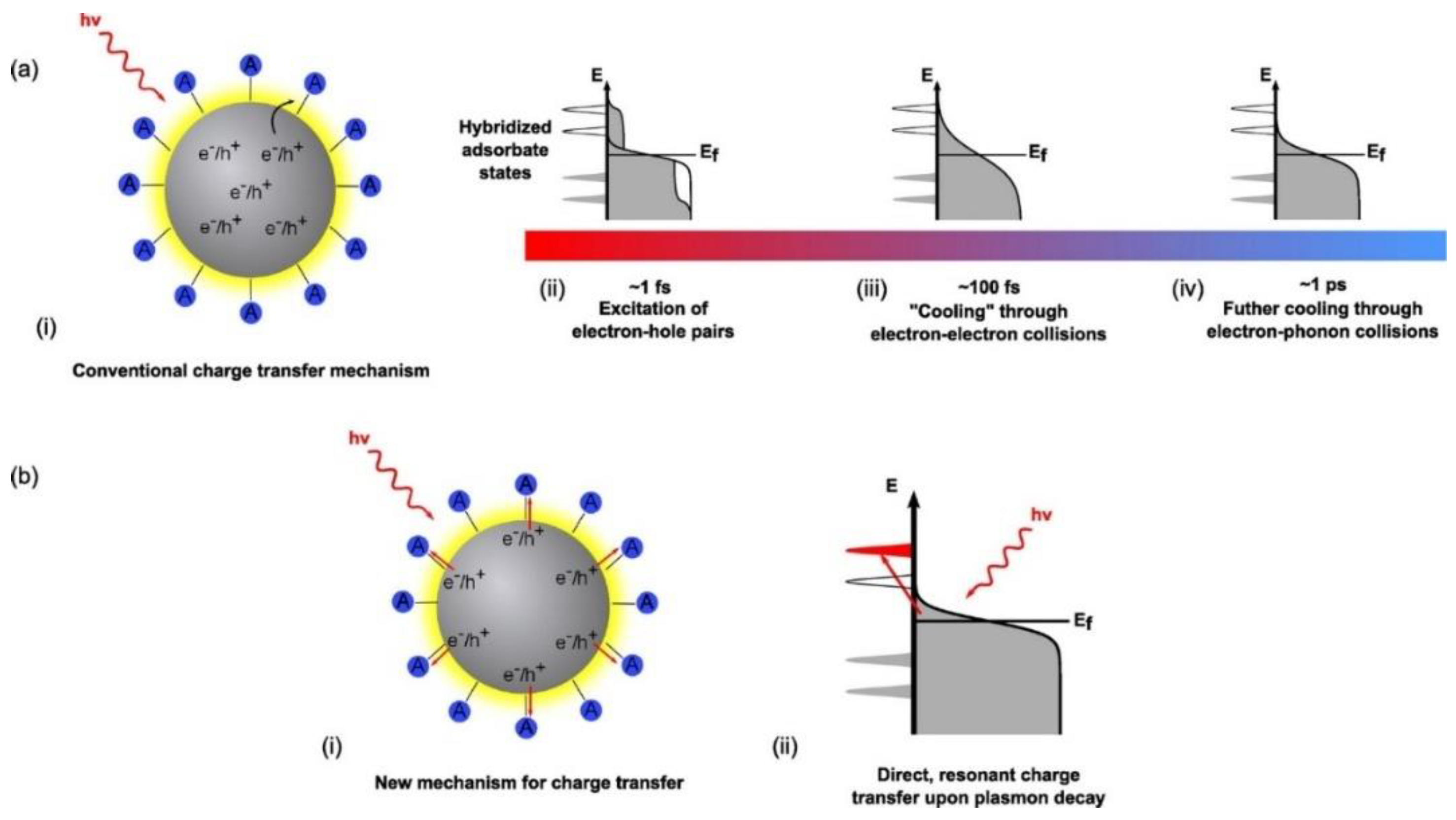 Nanomaterials 11 01249 g005 Nanomaterials 11 01249 g005