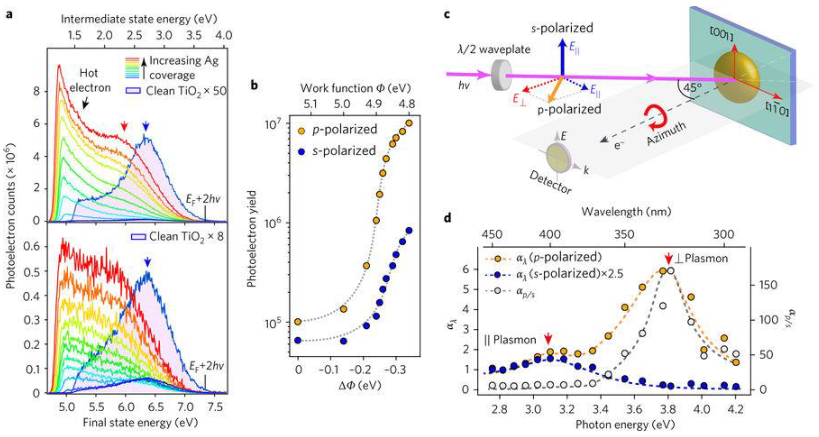Nanomaterials 11 01249 g011 Nanomaterials 11 01249 g011