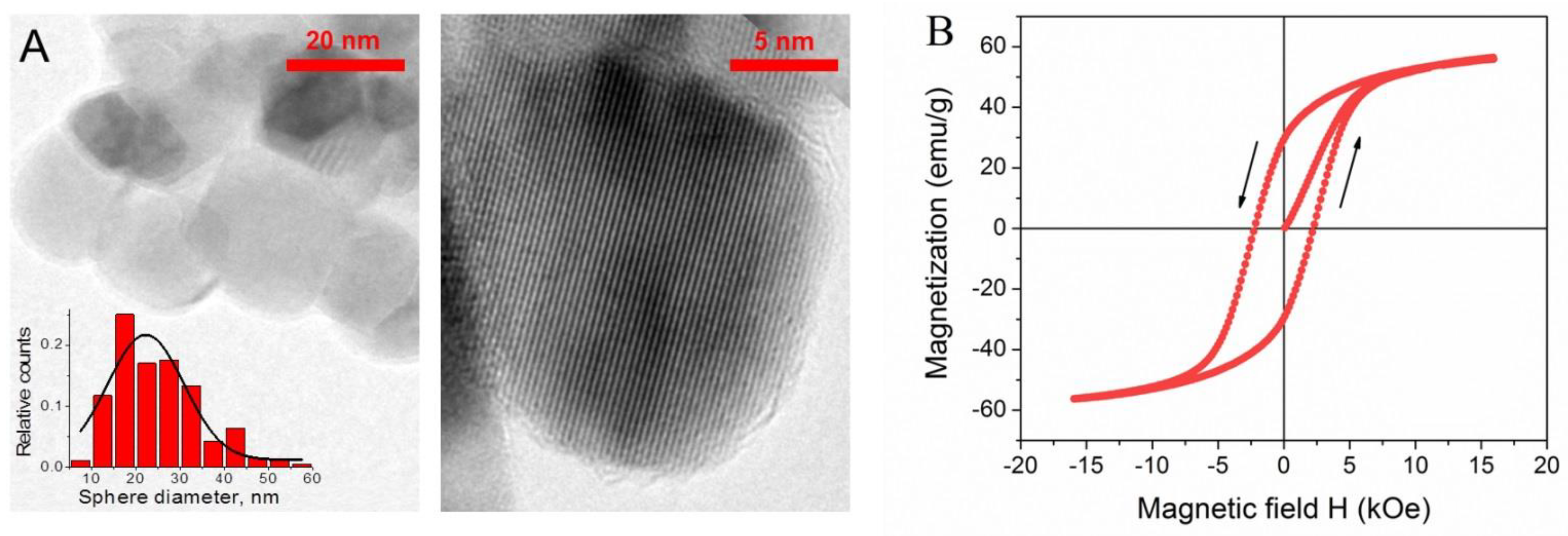 Nanomaterials 11 01271 g002 Nanomaterials 11 01271 g002