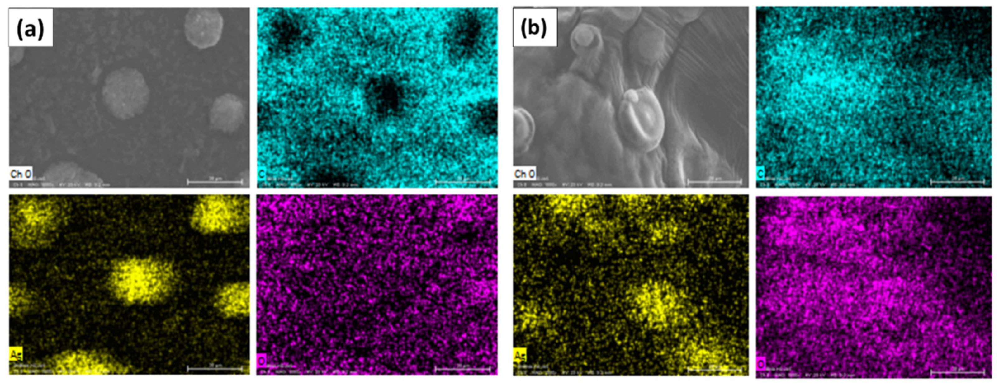 Nanomaterials 11 01273 g003 Nanomaterials 11 01273 g003