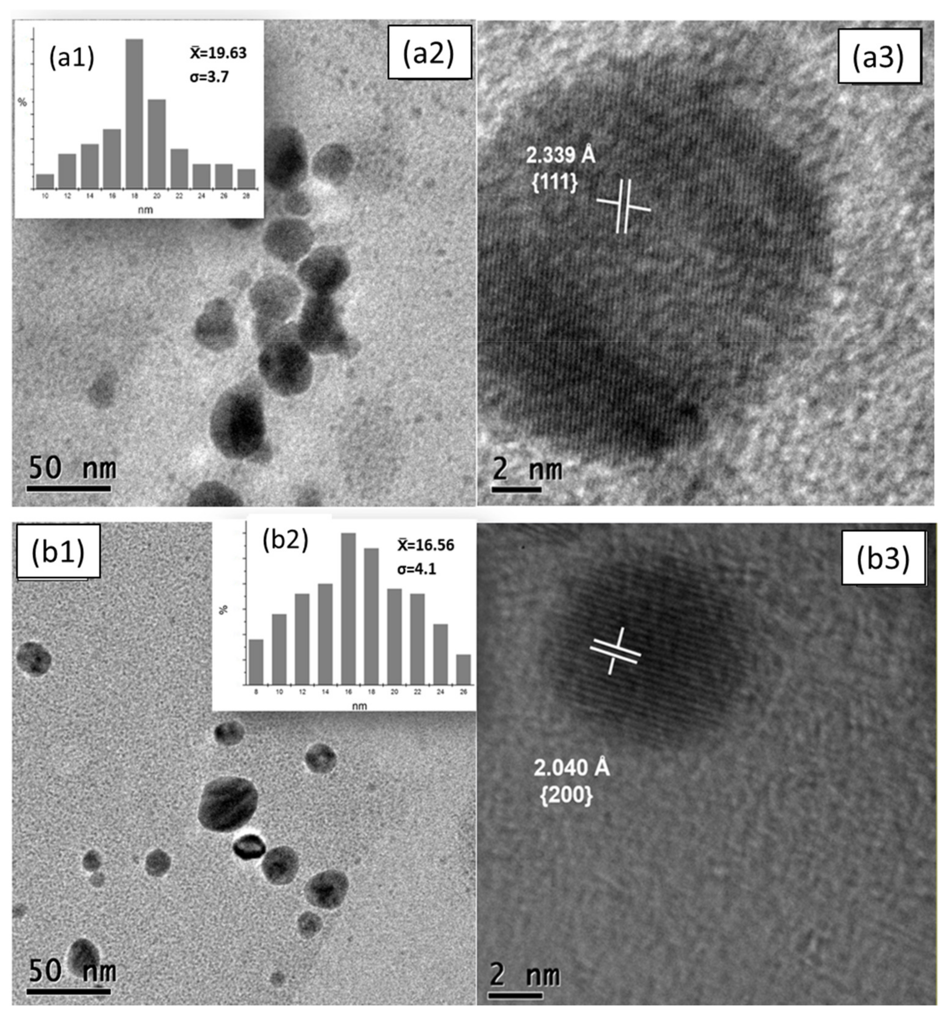 Nanomaterials 11 01273 g004 Nanomaterials 11 01273 g004