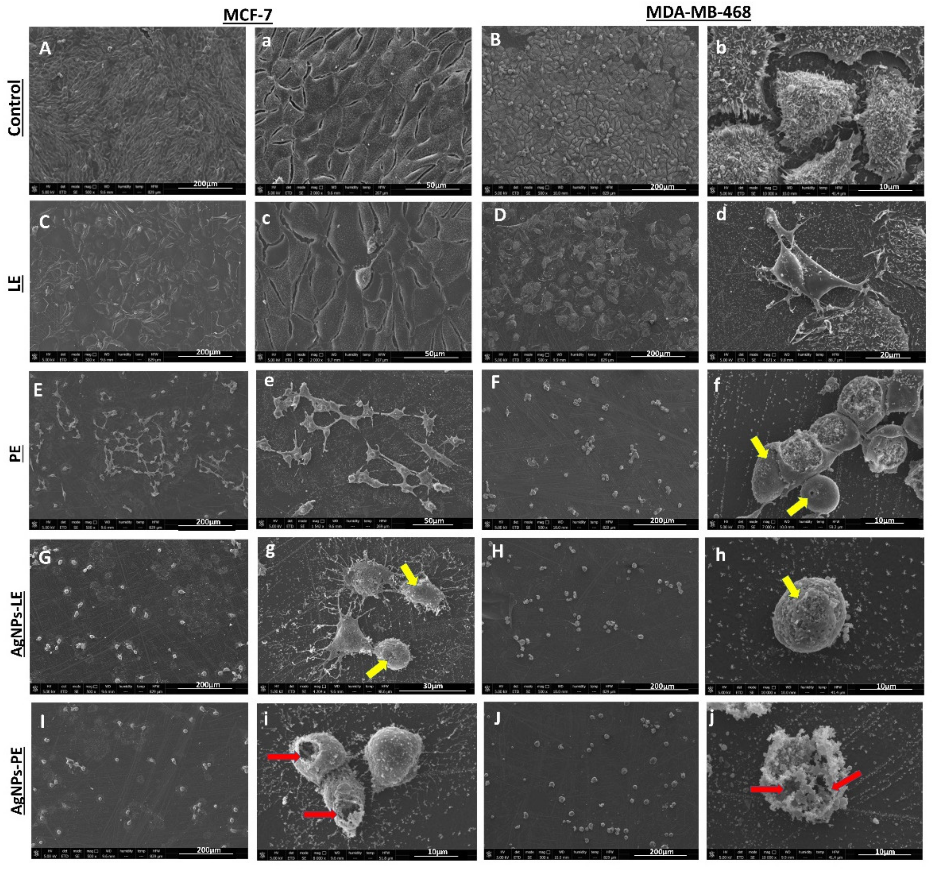 Nanomaterials 11 01273 g006 Nanomaterials 11 01273 g006