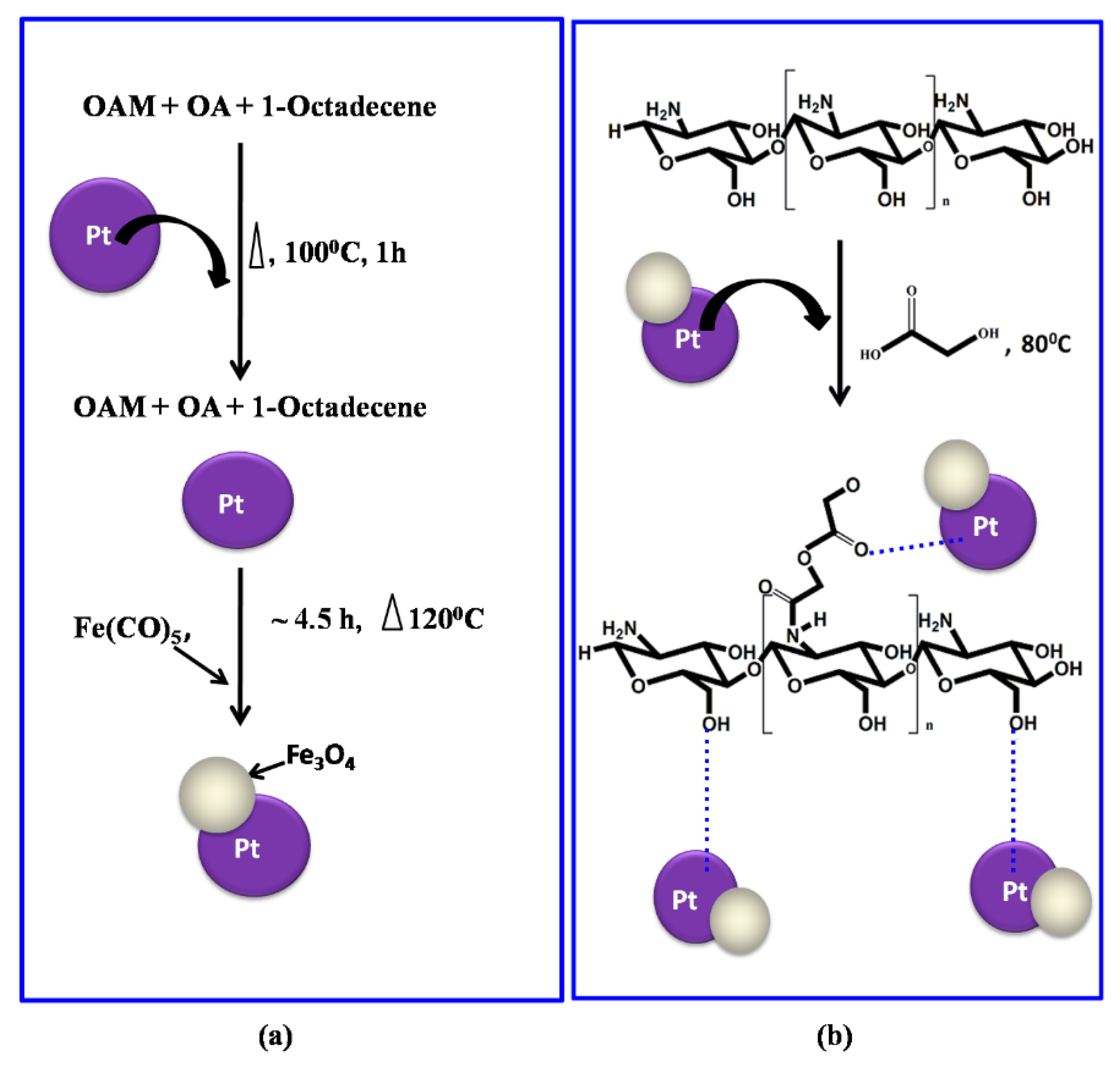 Nanomaterials 11 01275 sch001 Nanomaterials 11 01275 sch001