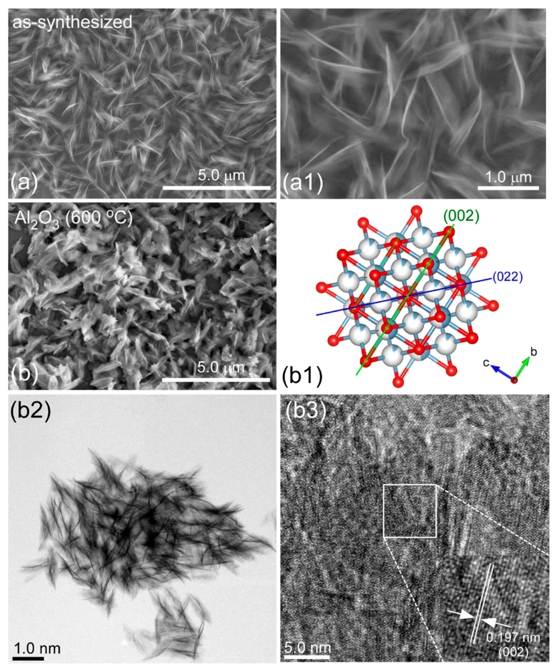 Nanomaterials 11 01278 g001