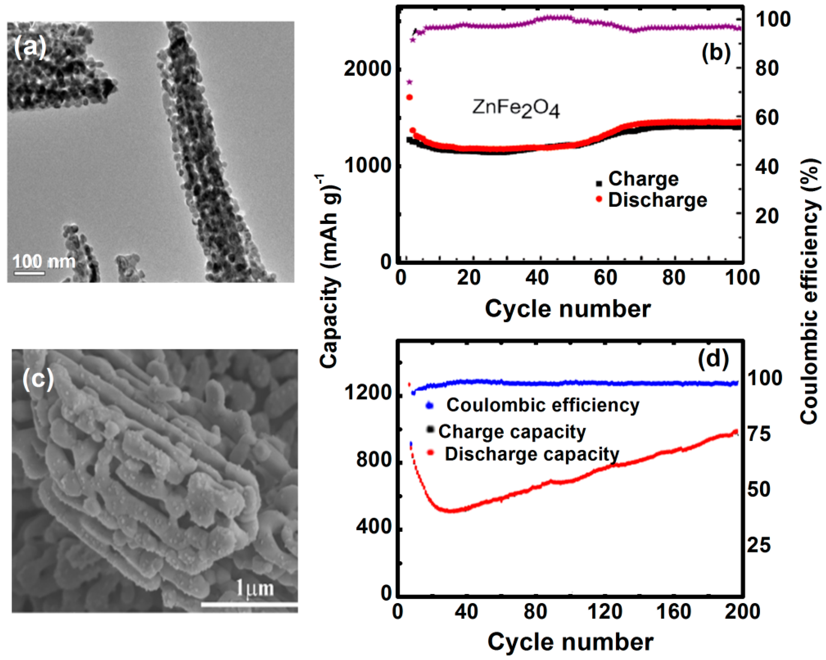 Nanomaterials 11 01286 g014