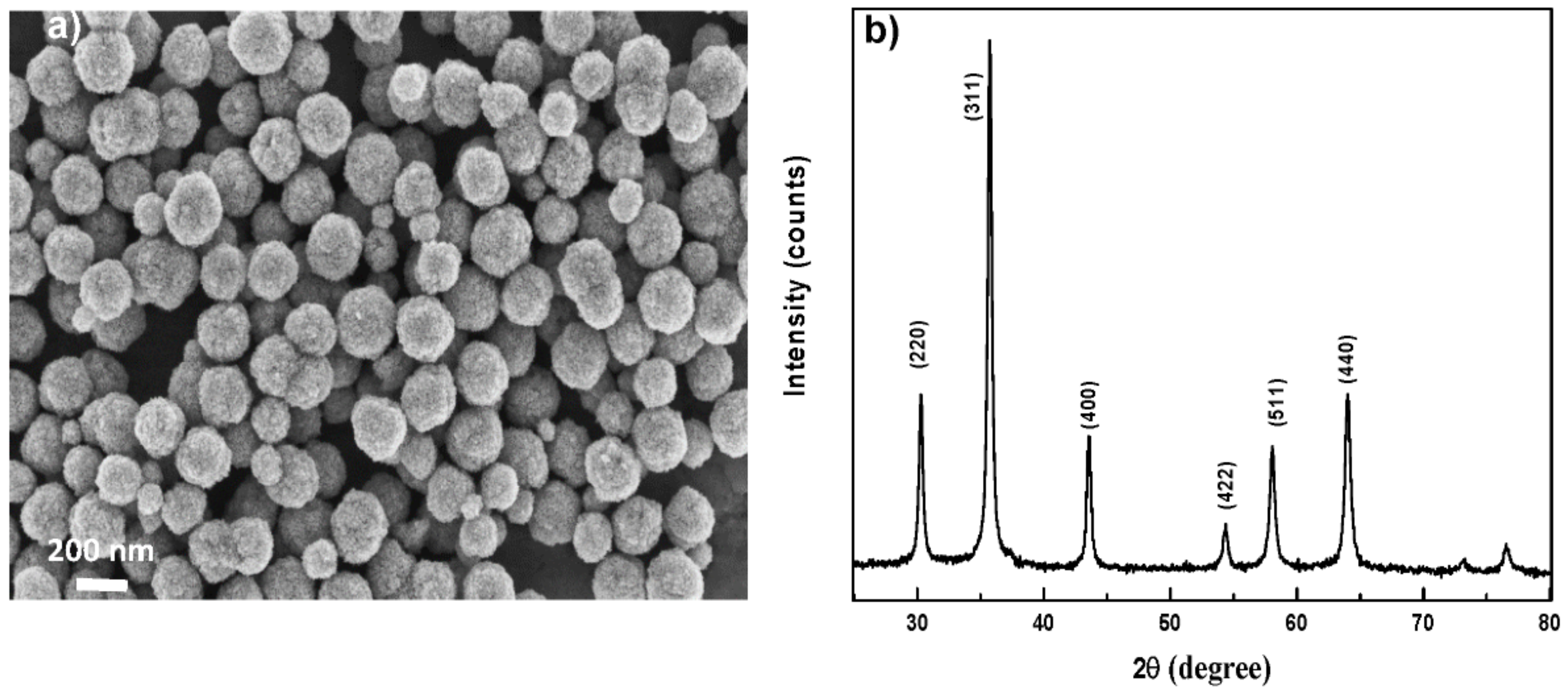 Nanomaterials 11 01288 g001
