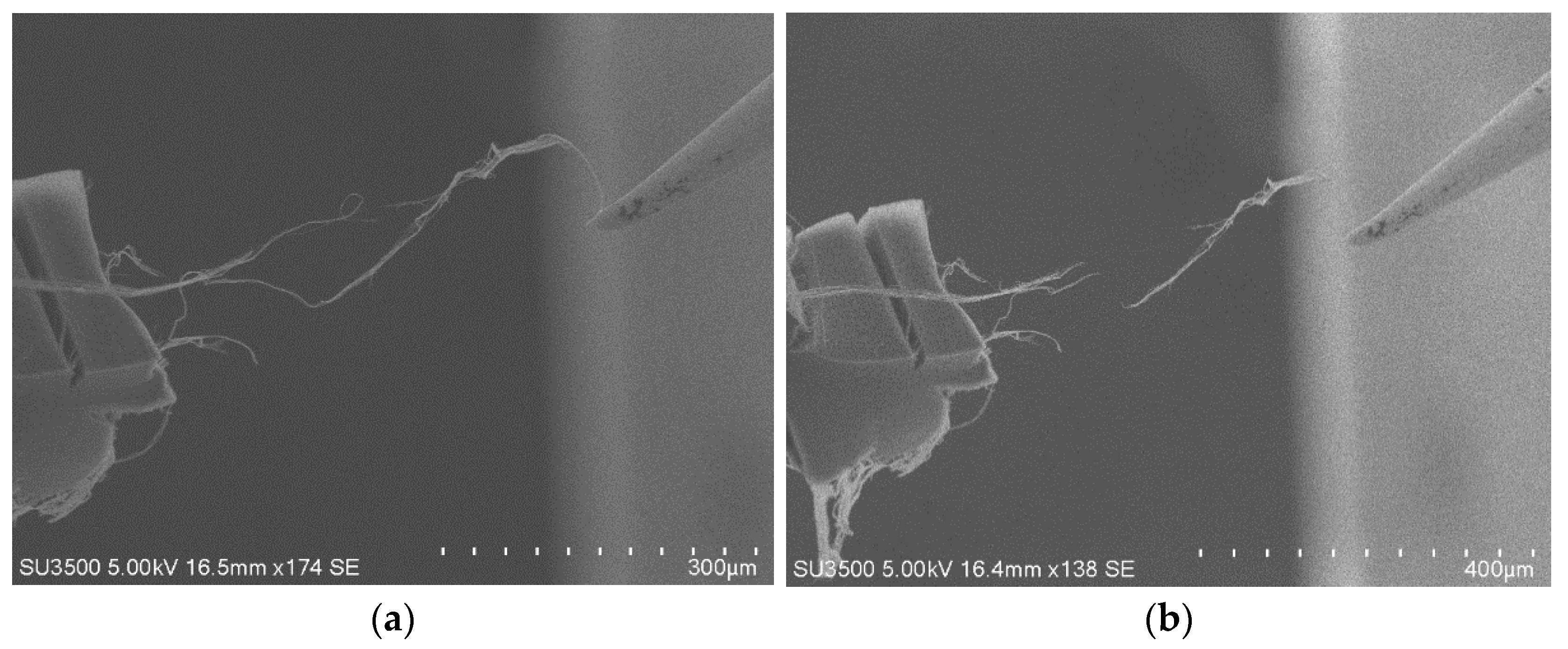 Nanomaterials 11 01290 g003 Nanomaterials 11 01290 g003