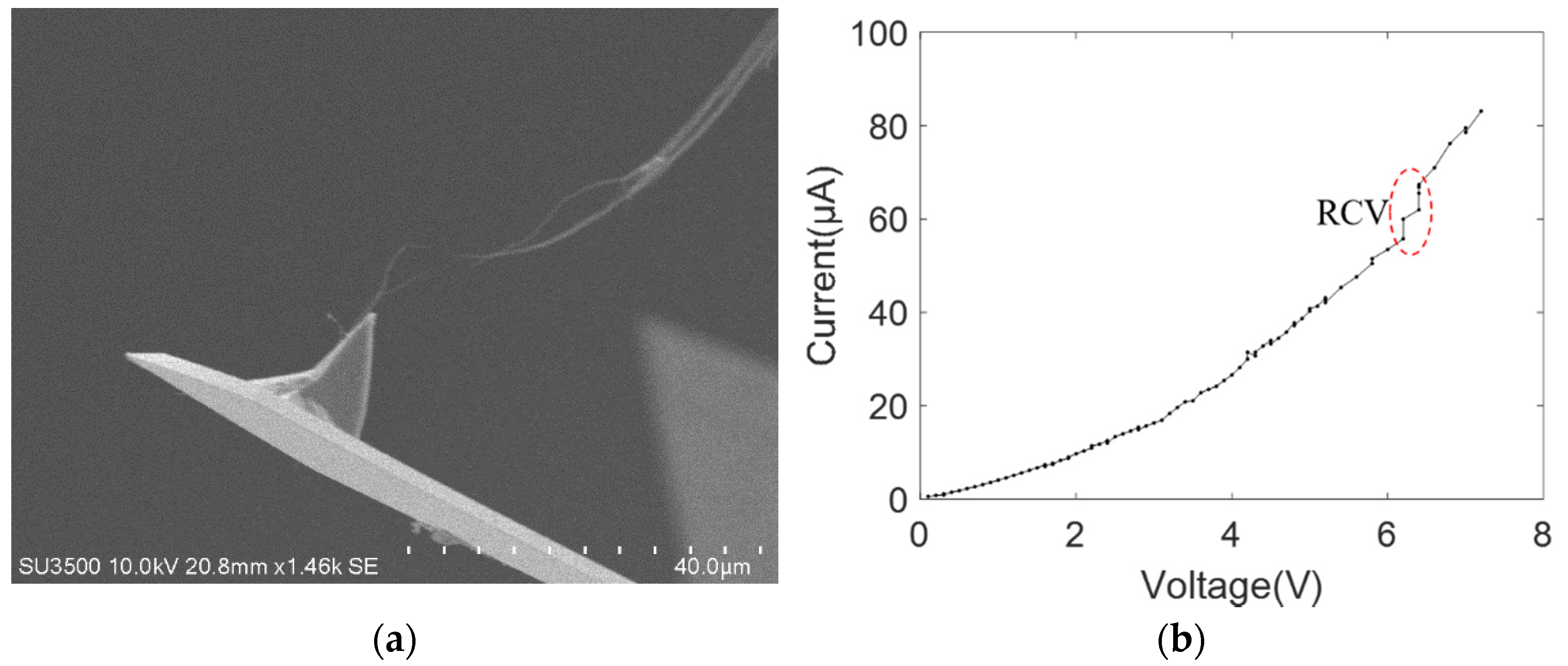 Nanomaterials 11 01290 g005 Nanomaterials 11 01290 g005