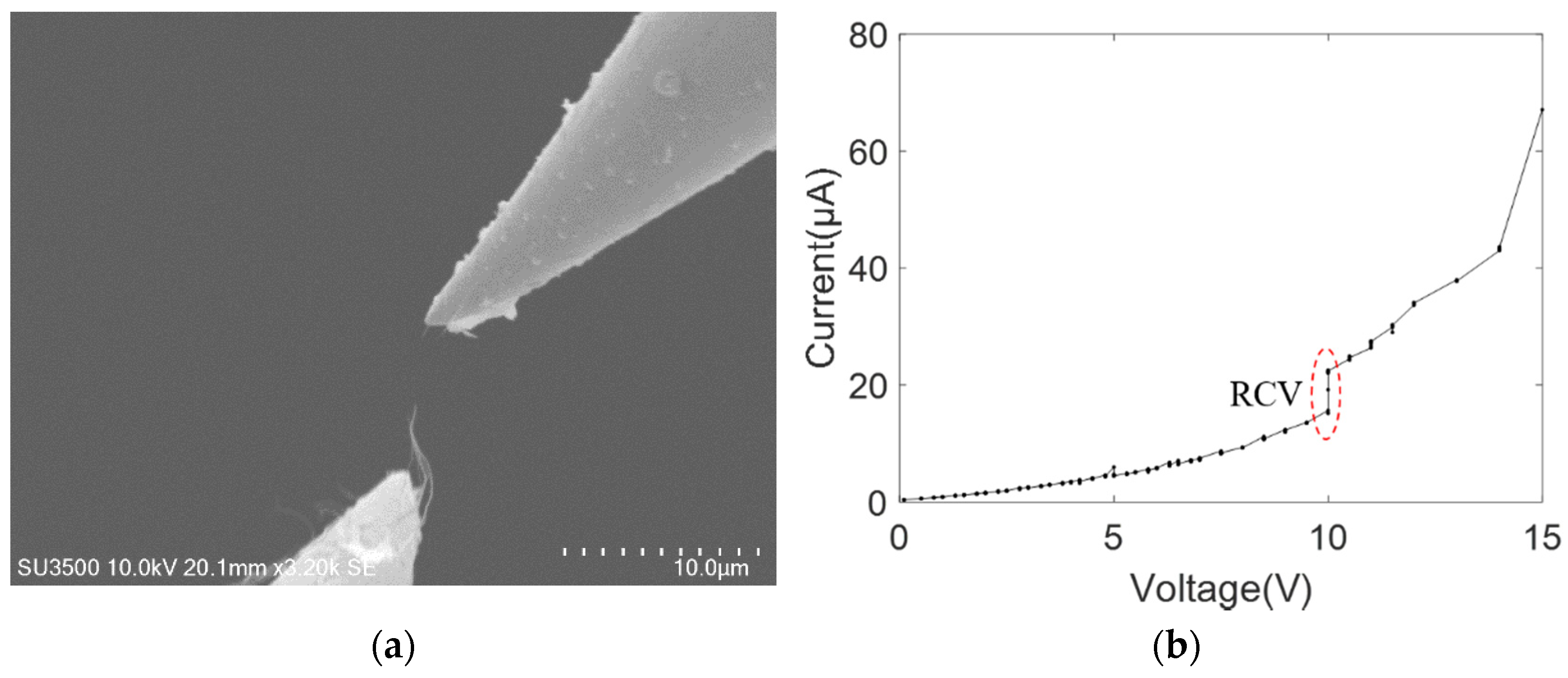 Nanomaterials 11 01290 g010 Nanomaterials 11 01290 g010
