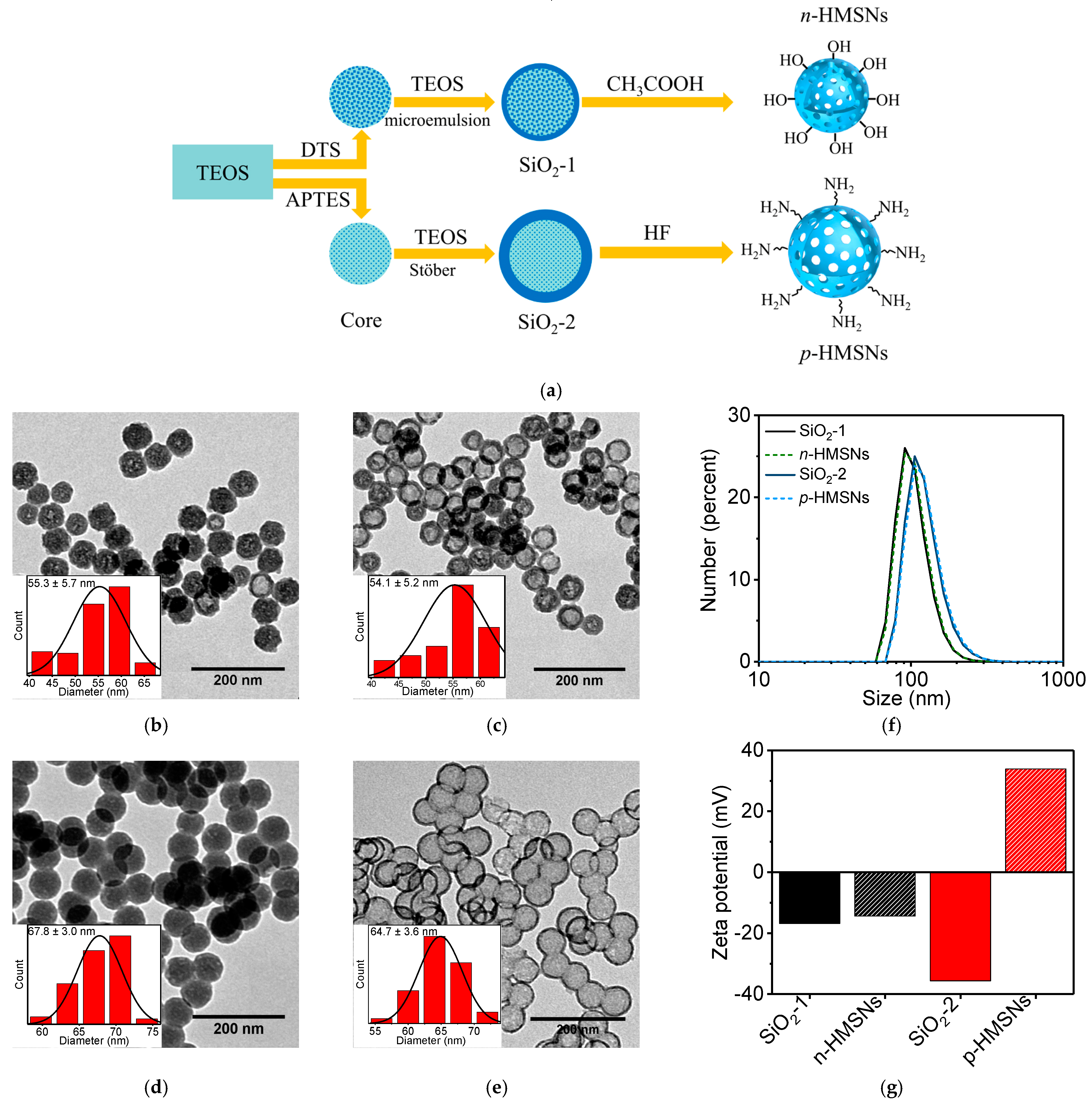 Nanomaterials 11 01293 g001