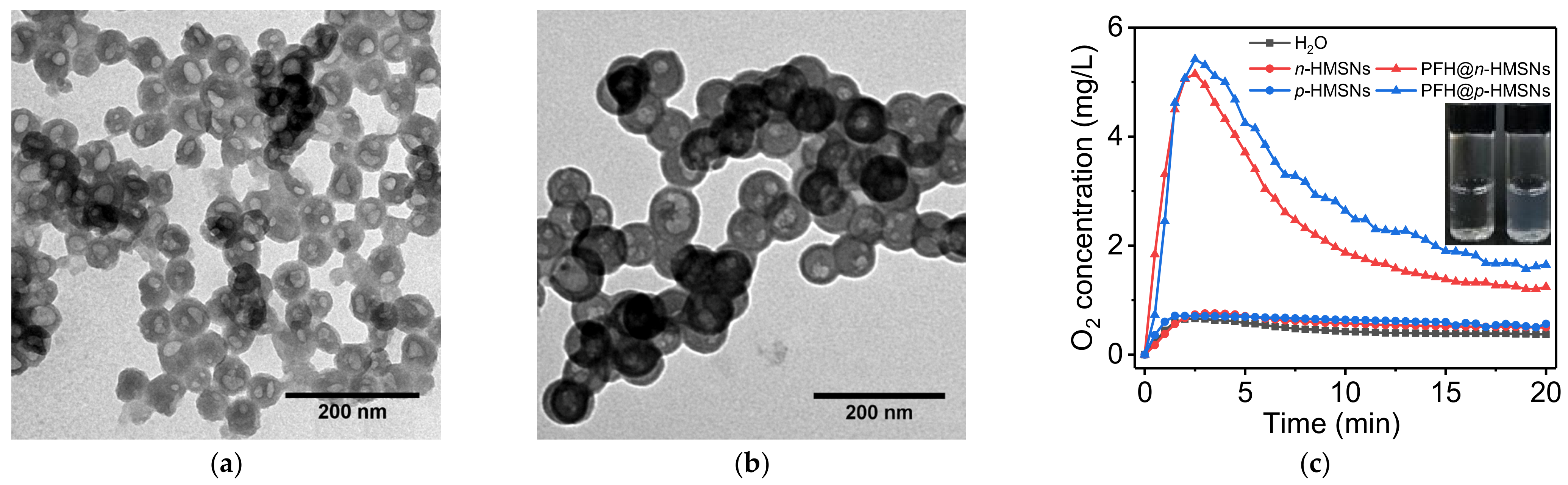 Nanomaterials 11 01293 g004