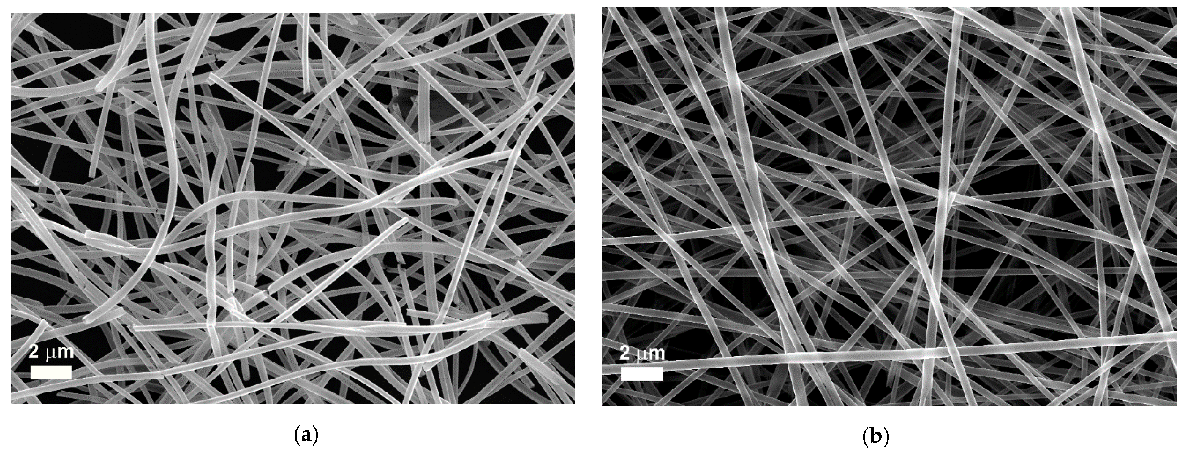 Nanomaterials 11 01305 g002a Nanomaterials 11 01305 g002a