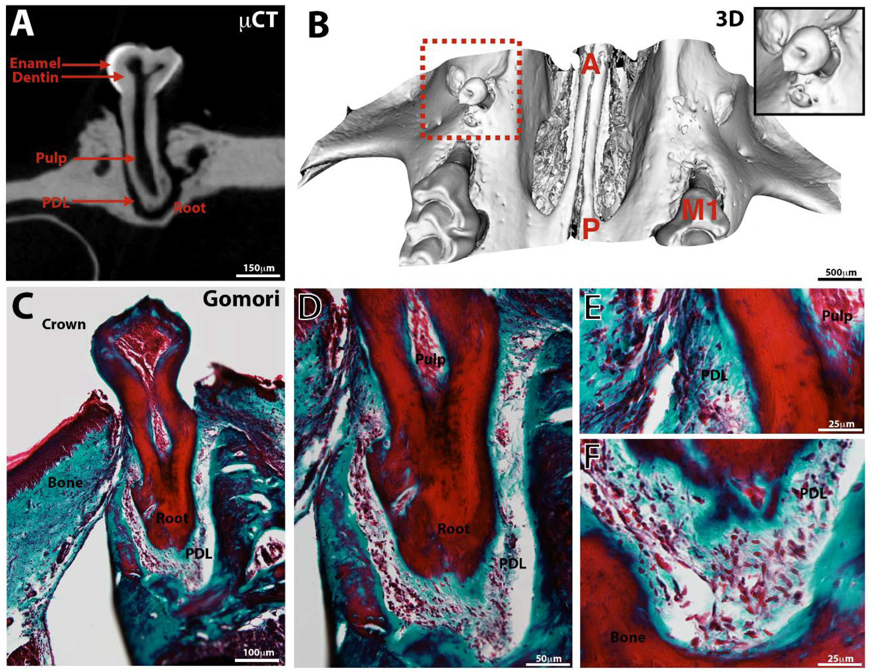 Nanomaterials 11 01315 g003 Nanomaterials 11 01315 g003