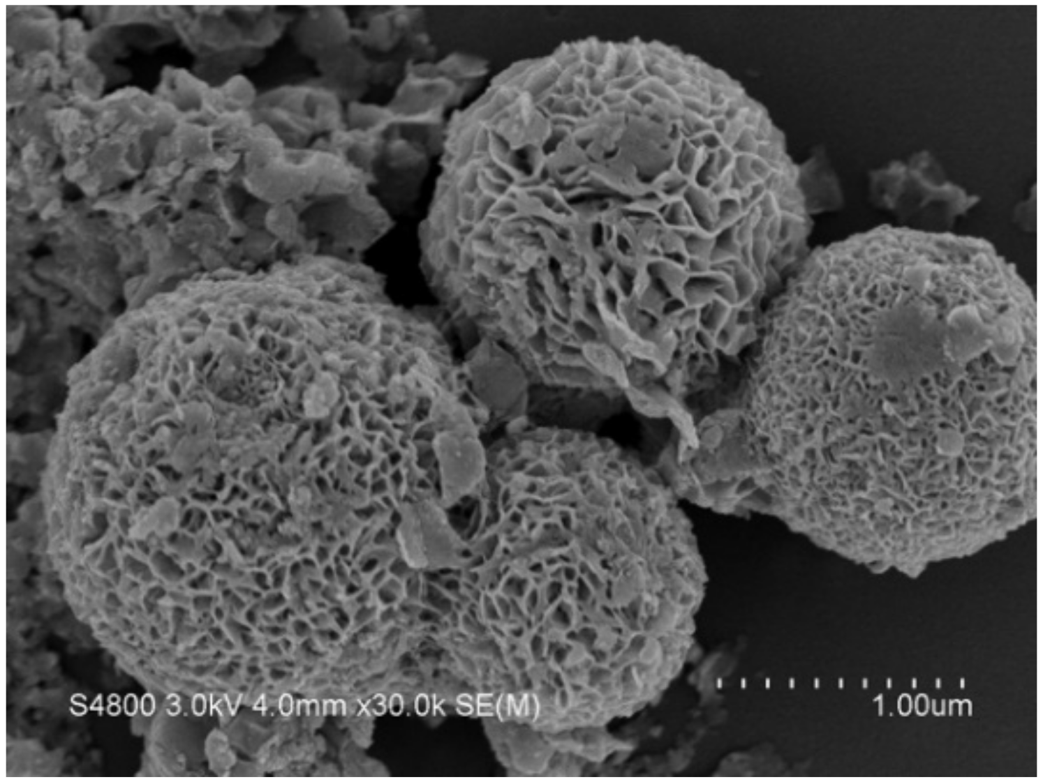 Nanomaterials 11 01325 g002