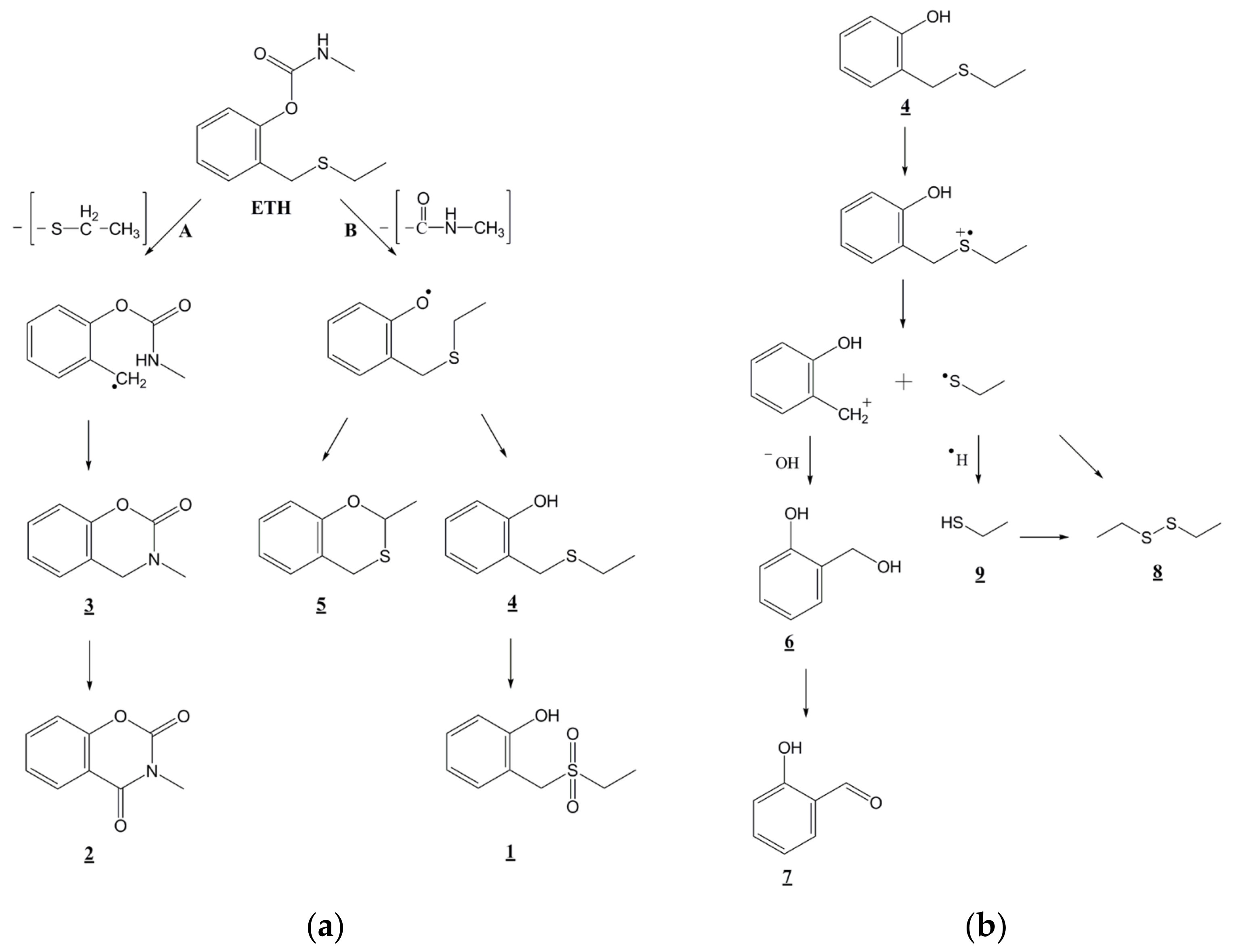Nanomaterials 11 01325 g010