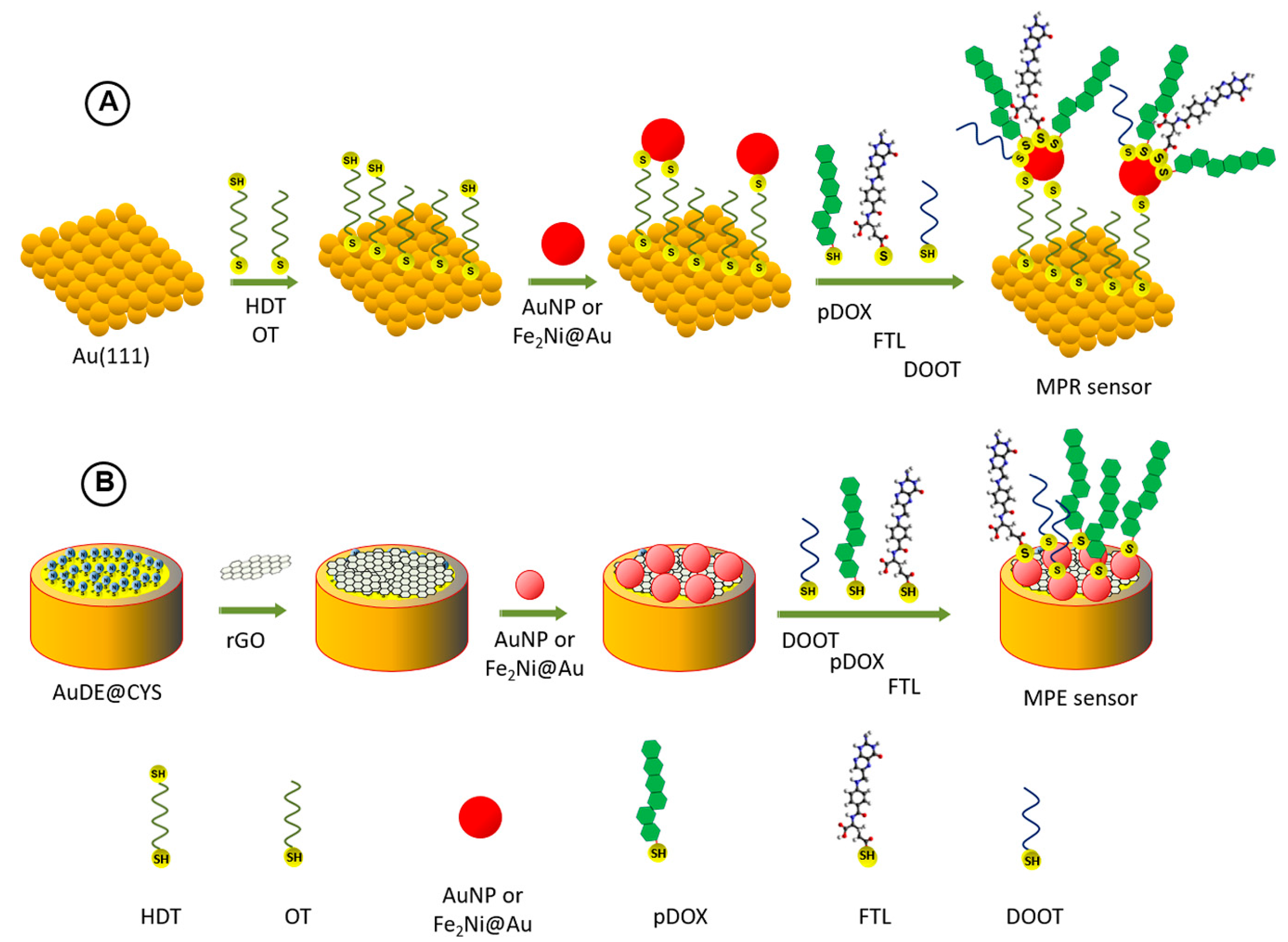 Nanomaterials | Free Full-Text | Magneto-Plasmonic Nanoparticle Grid  Biosensor with Enhanced Raman Scattering and Electrochemical Transduction  for the Development of Nanocarriers for Targeted Delivery of Protected  Anticancer Drugs | HTML
