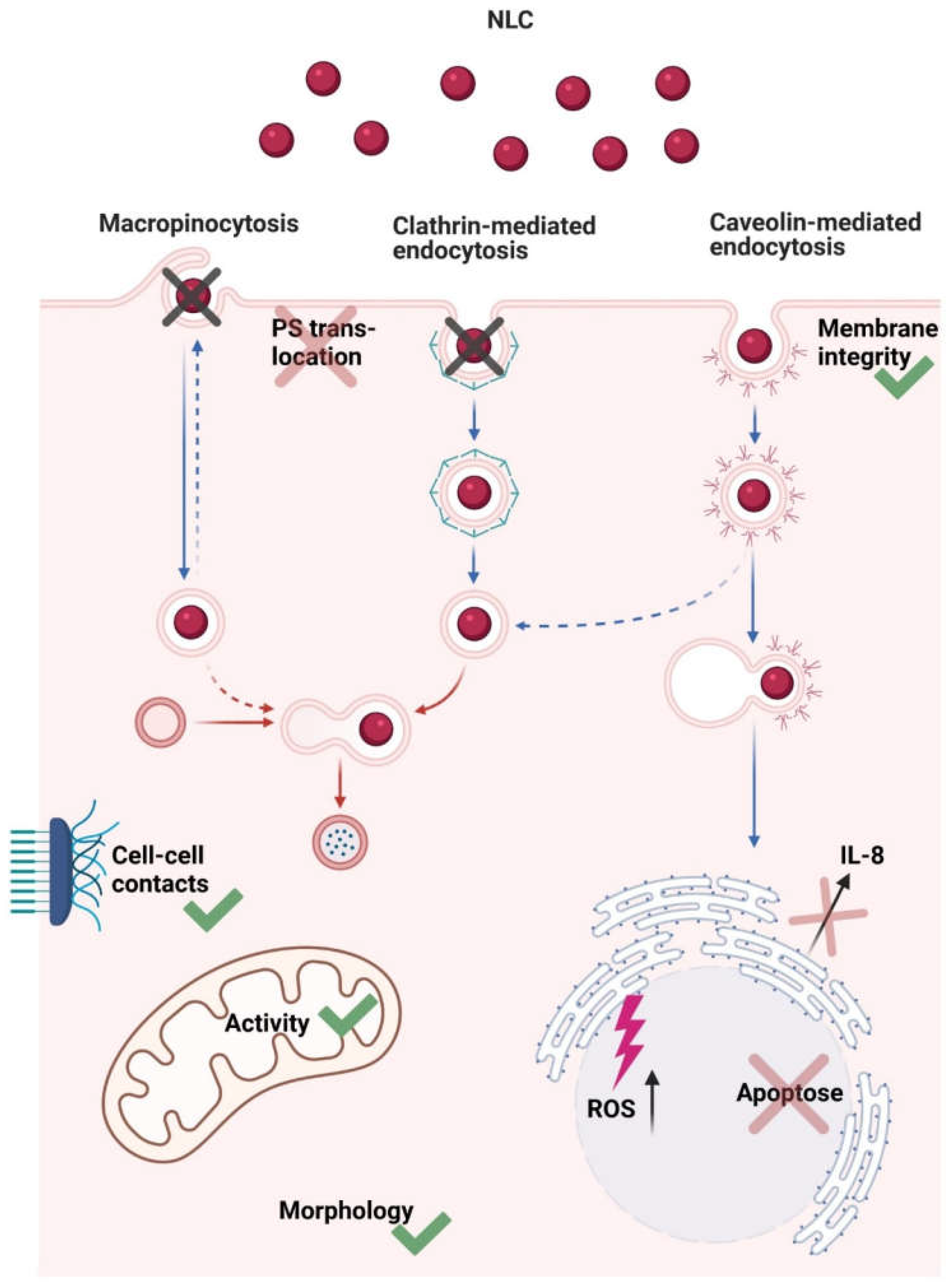 Nanomaterials 11 01330 g008 Nanomaterials 11 01330 g008