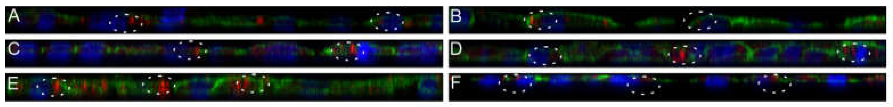 Nanomaterials 11 01330 g010 Nanomaterials 11 01330 g010