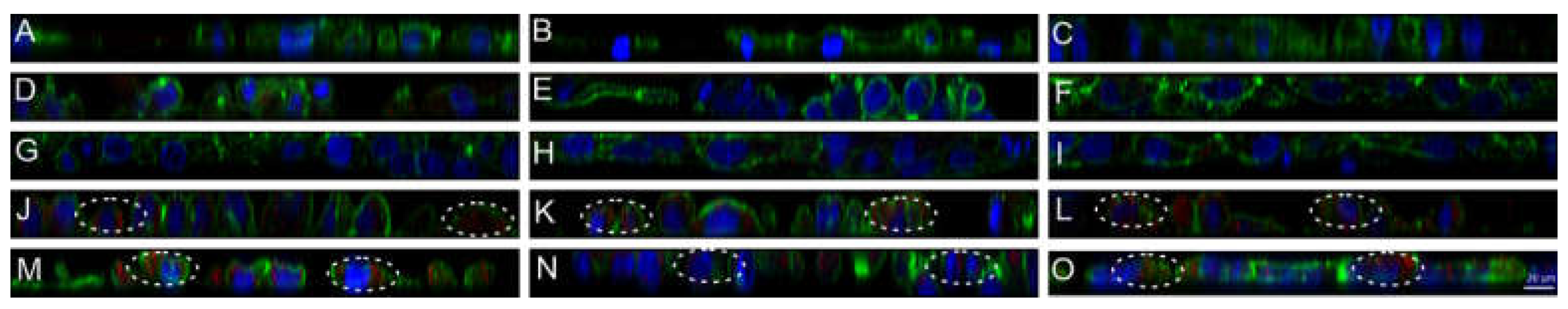 Nanomaterials 11 01330 g011 Nanomaterials 11 01330 g011