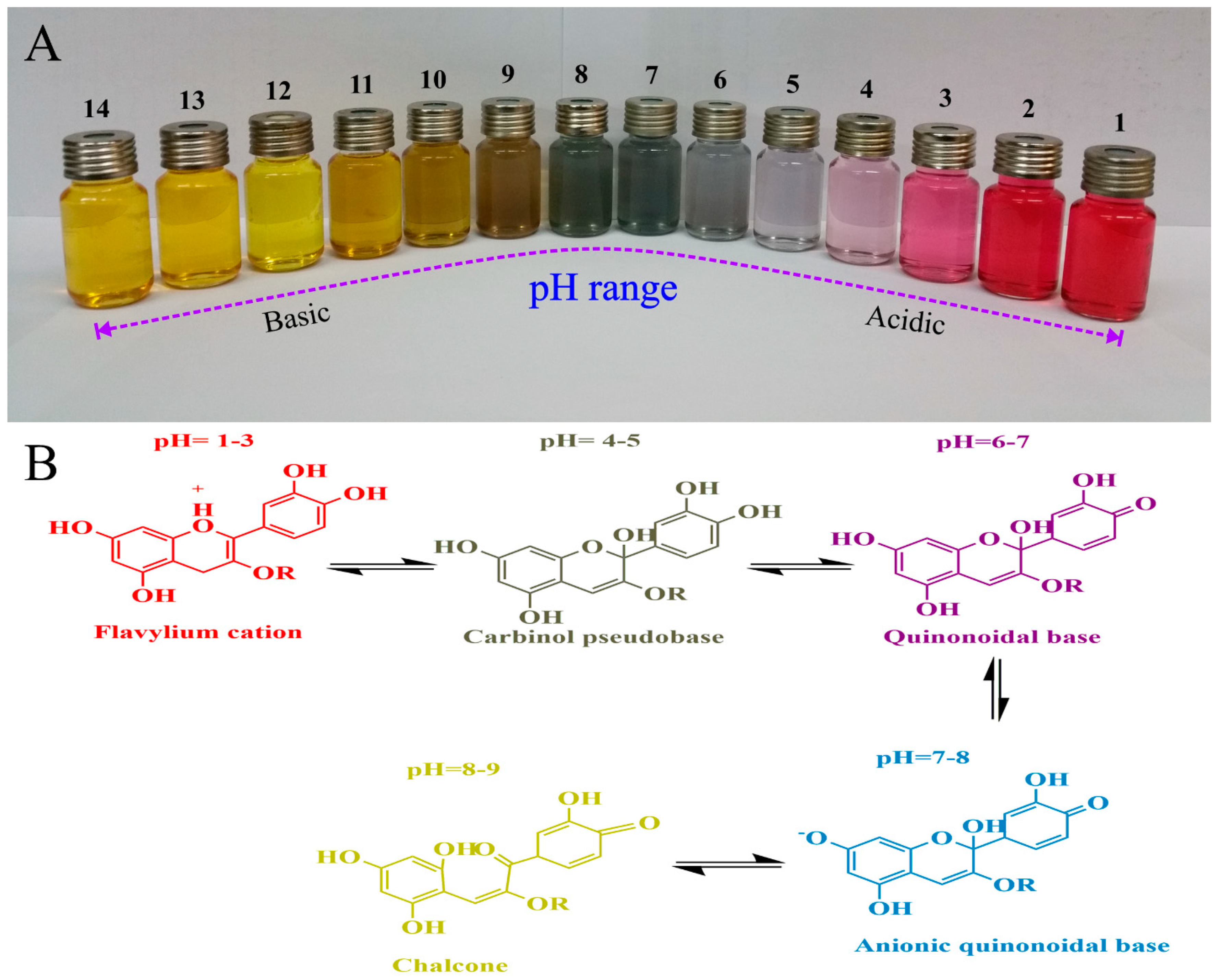 Nanomaterials 11 01331 g004 Nanomaterials 11 01331 g004