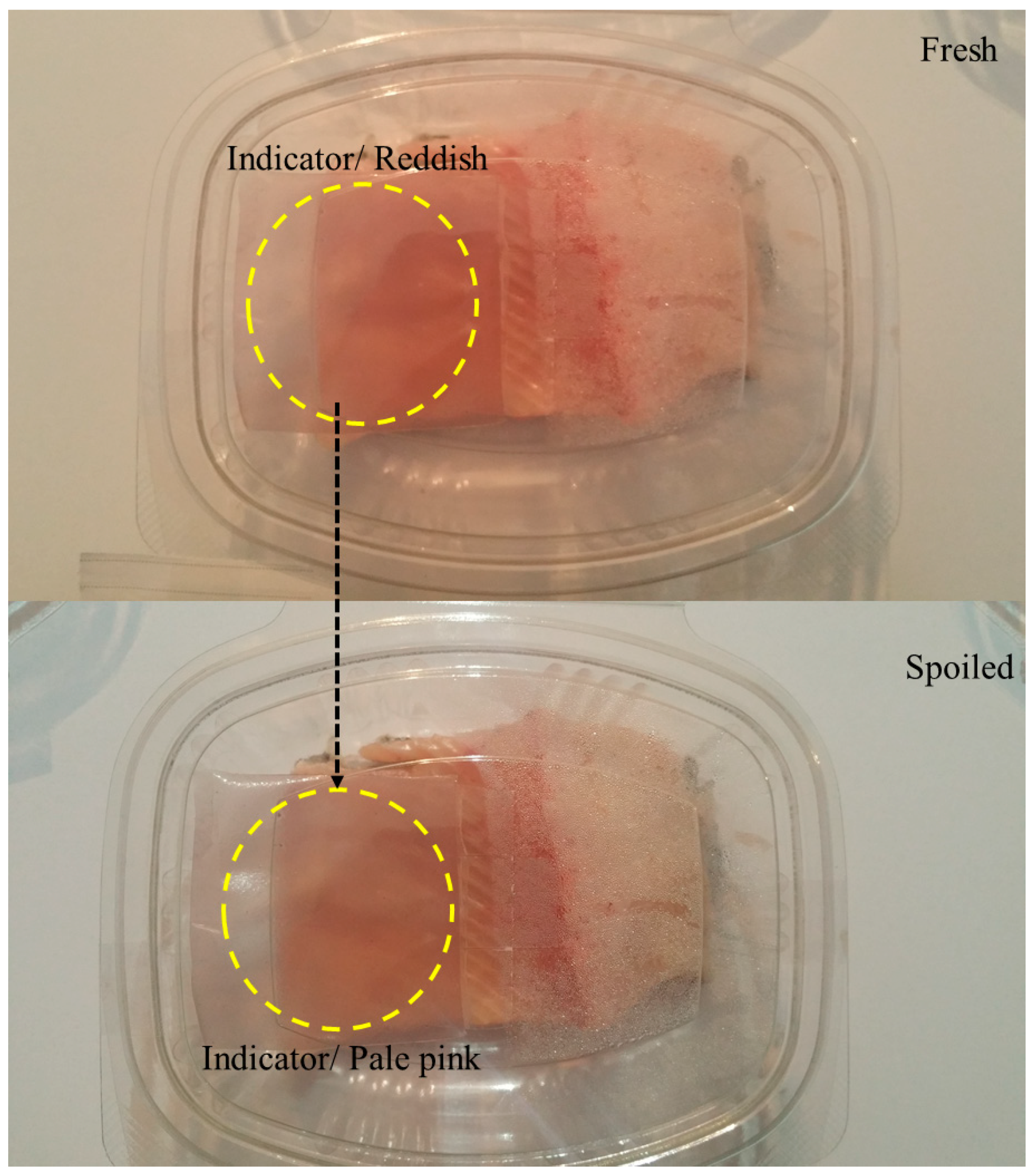 Nanomaterials 11 01331 g005 Nanomaterials 11 01331 g005