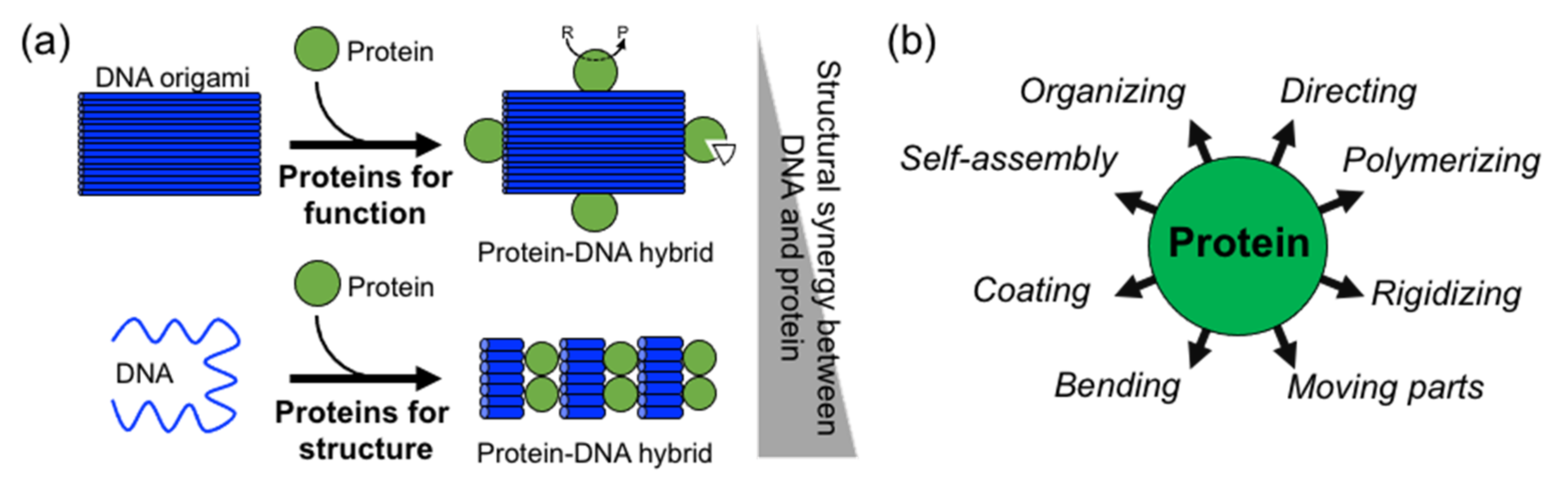 Nanomaterials 11 01332 g001