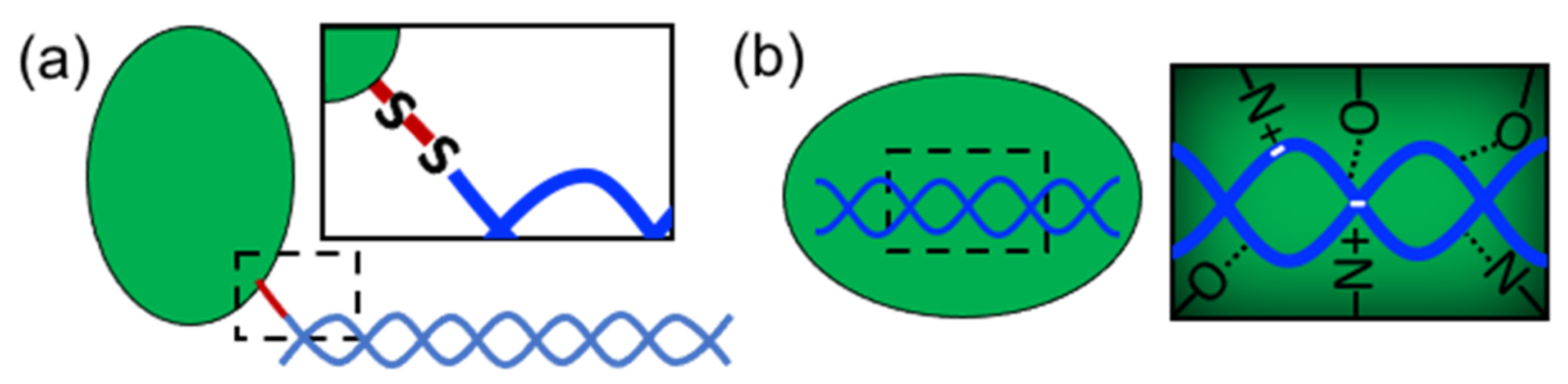 Nanomaterials 11 01332 g002