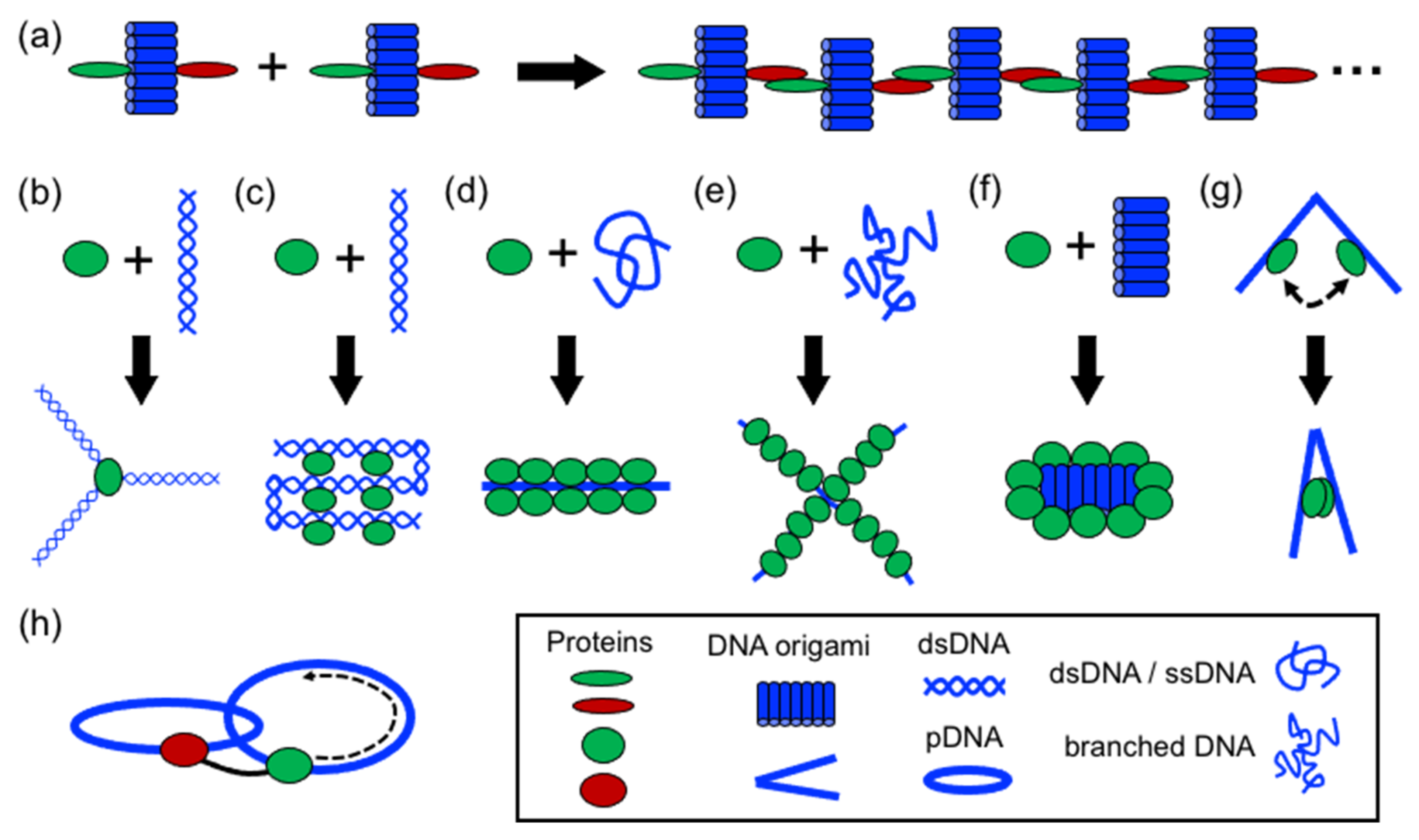 Nanomaterials 11 01332 g003