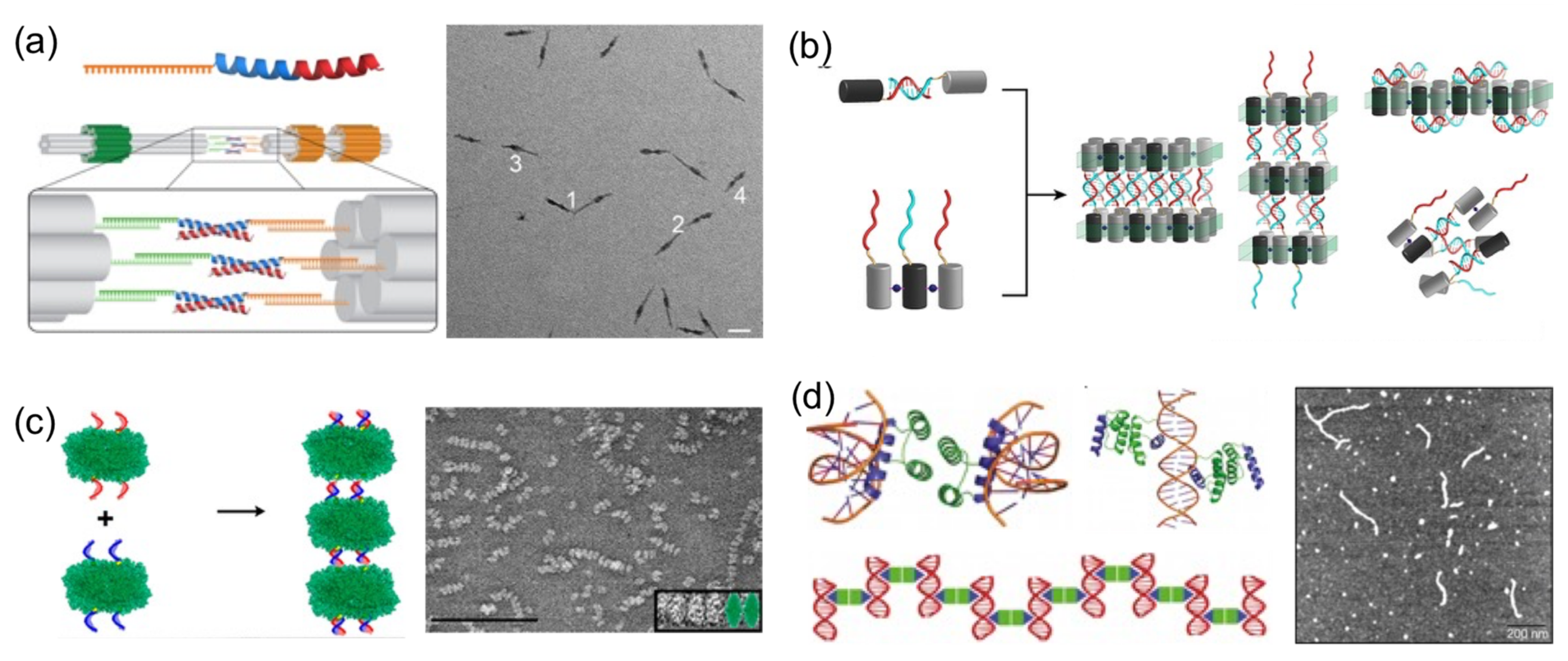 Nanomaterials 11 01332 g004