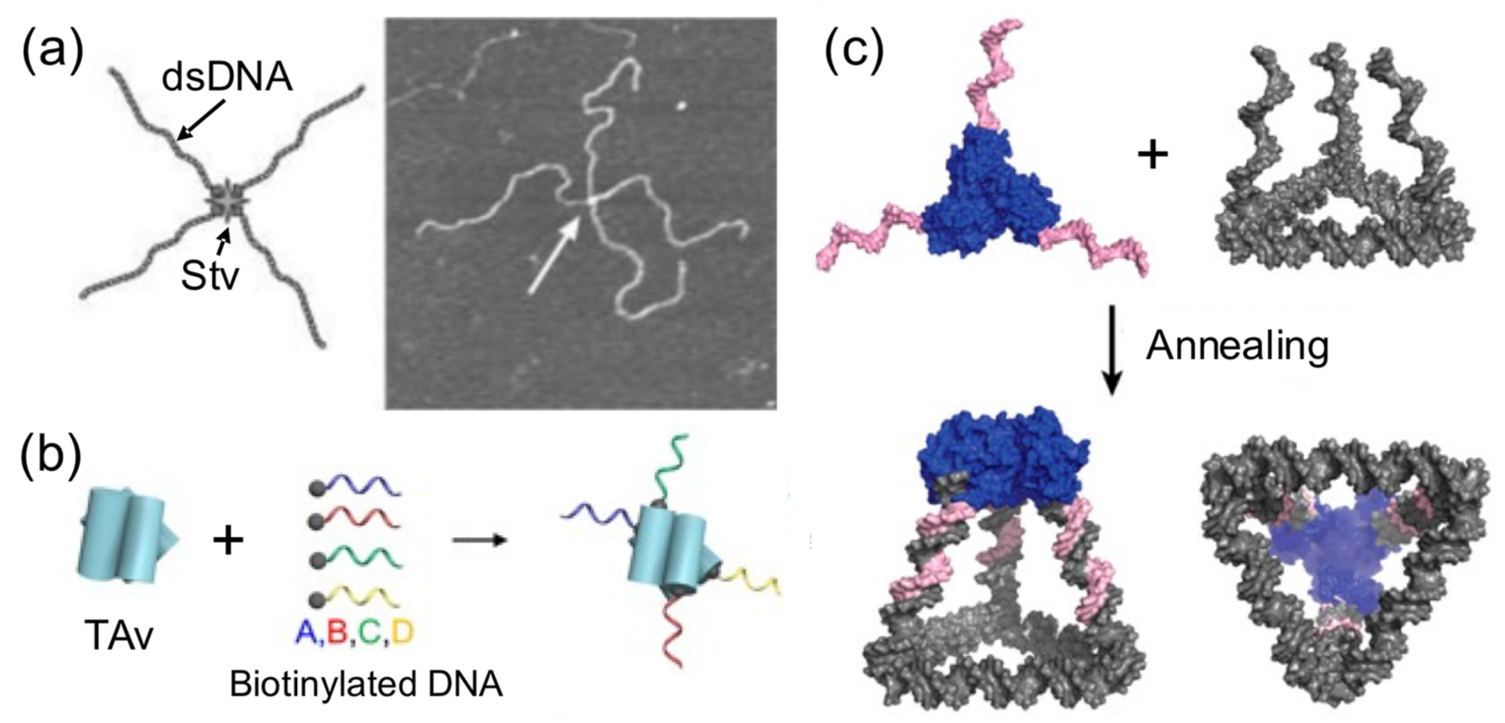 Nanomaterials 11 01332 g005