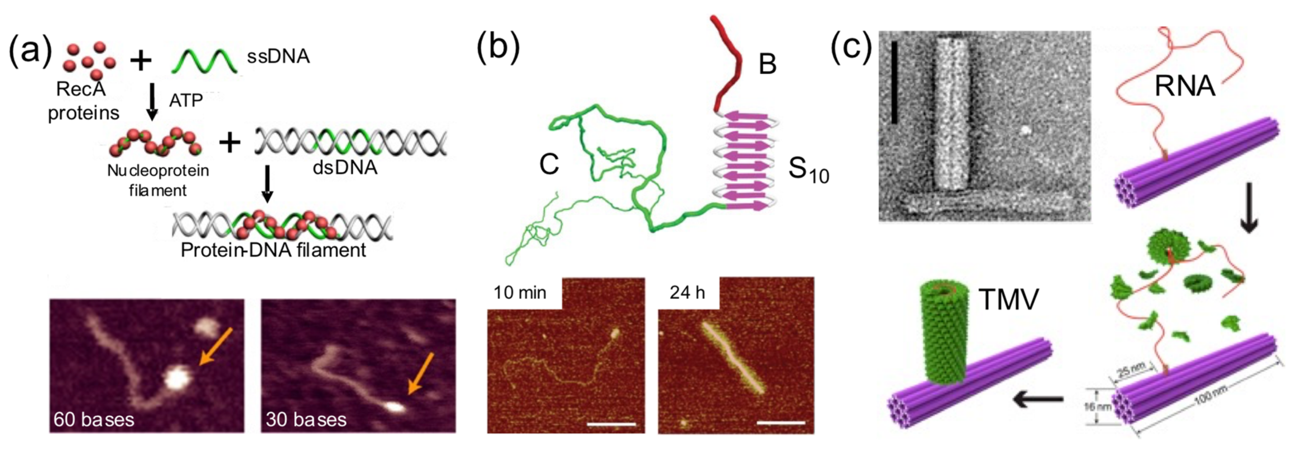 Nanomaterials 11 01332 g007