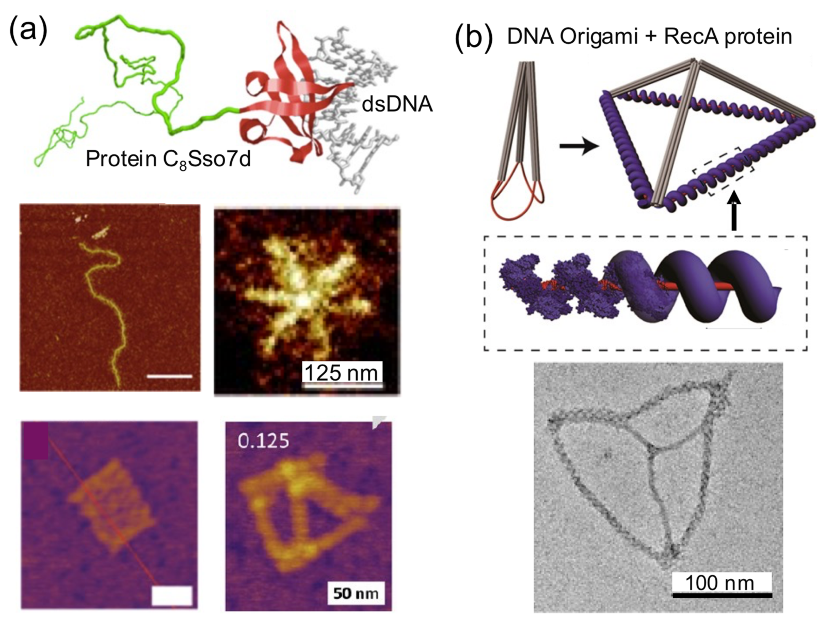 Nanomaterials 11 01332 g008