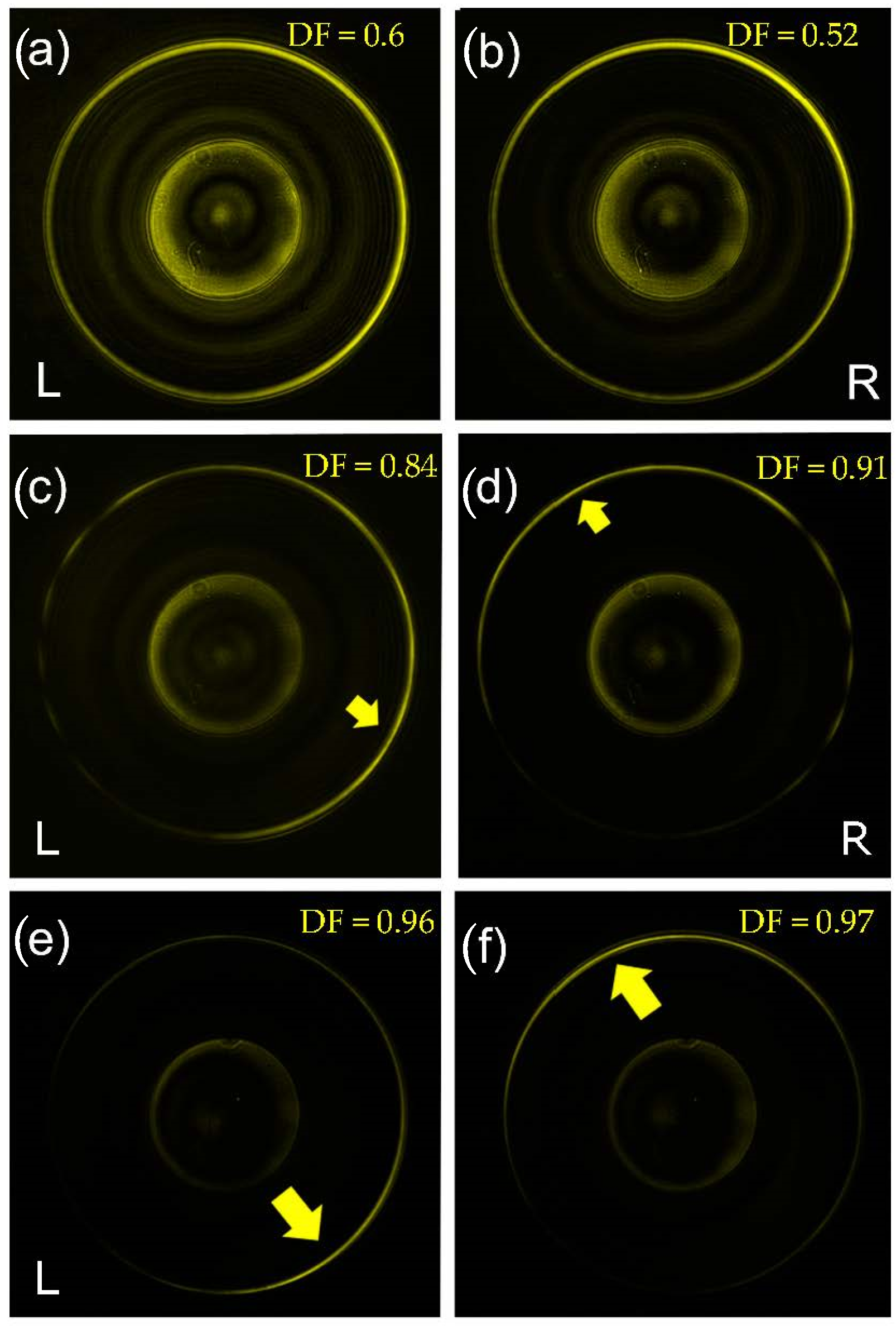 Nanomaterials 11 01333 g002